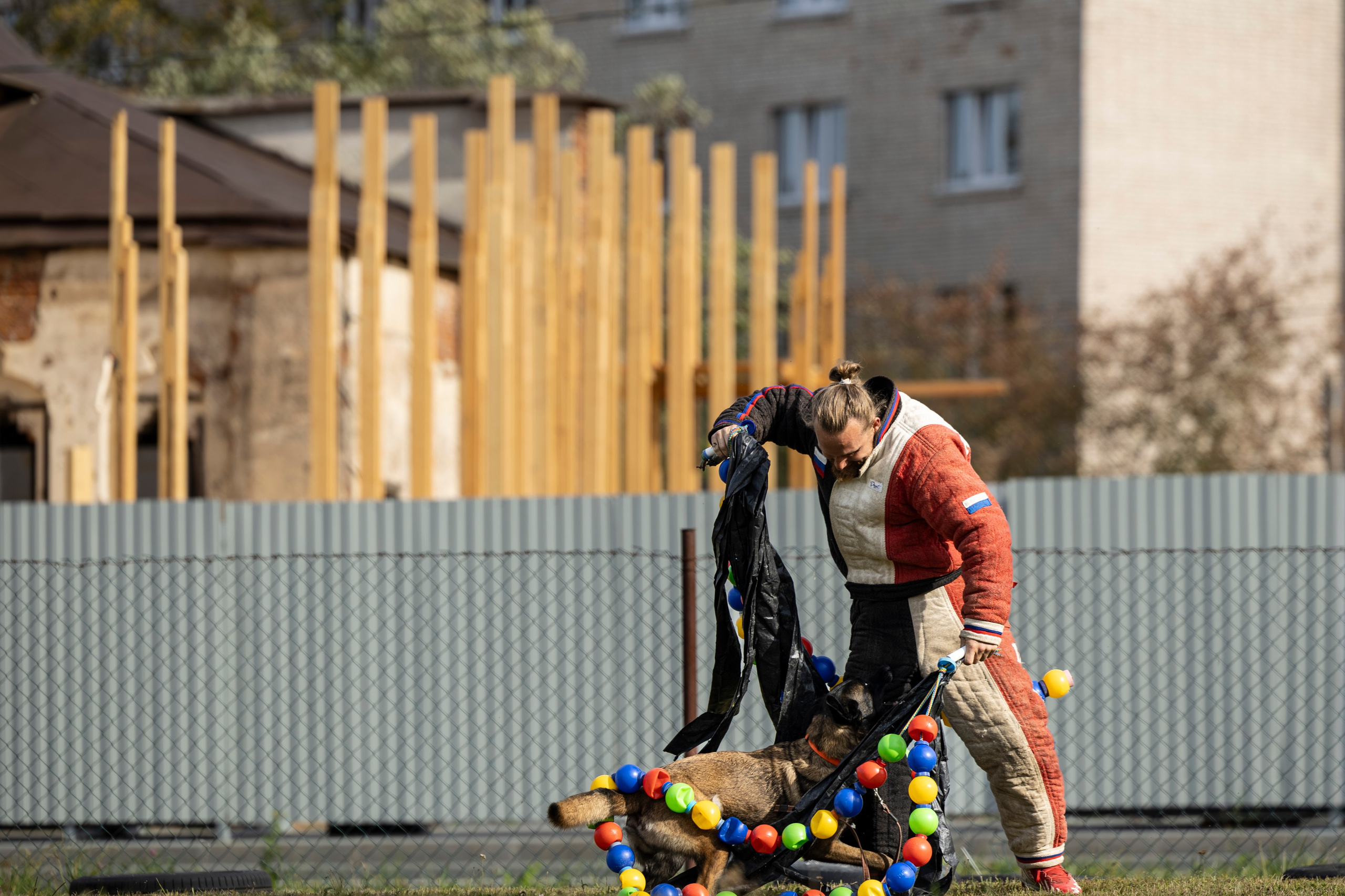 Испытания по Мондьорингу г. Пушкин. Фотограф-анималист Анна Маринич