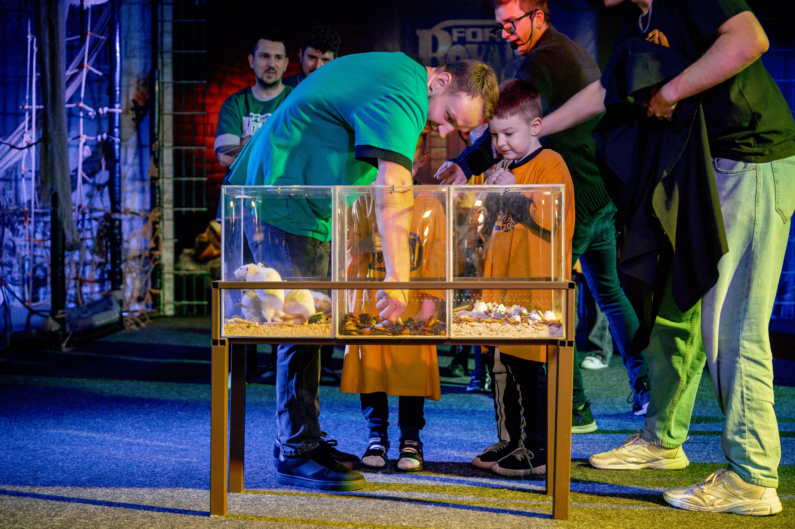 «Форд-боярд». Свадебный, семейный и репортажный фотограф. Брянск. Эльвира Голенкова