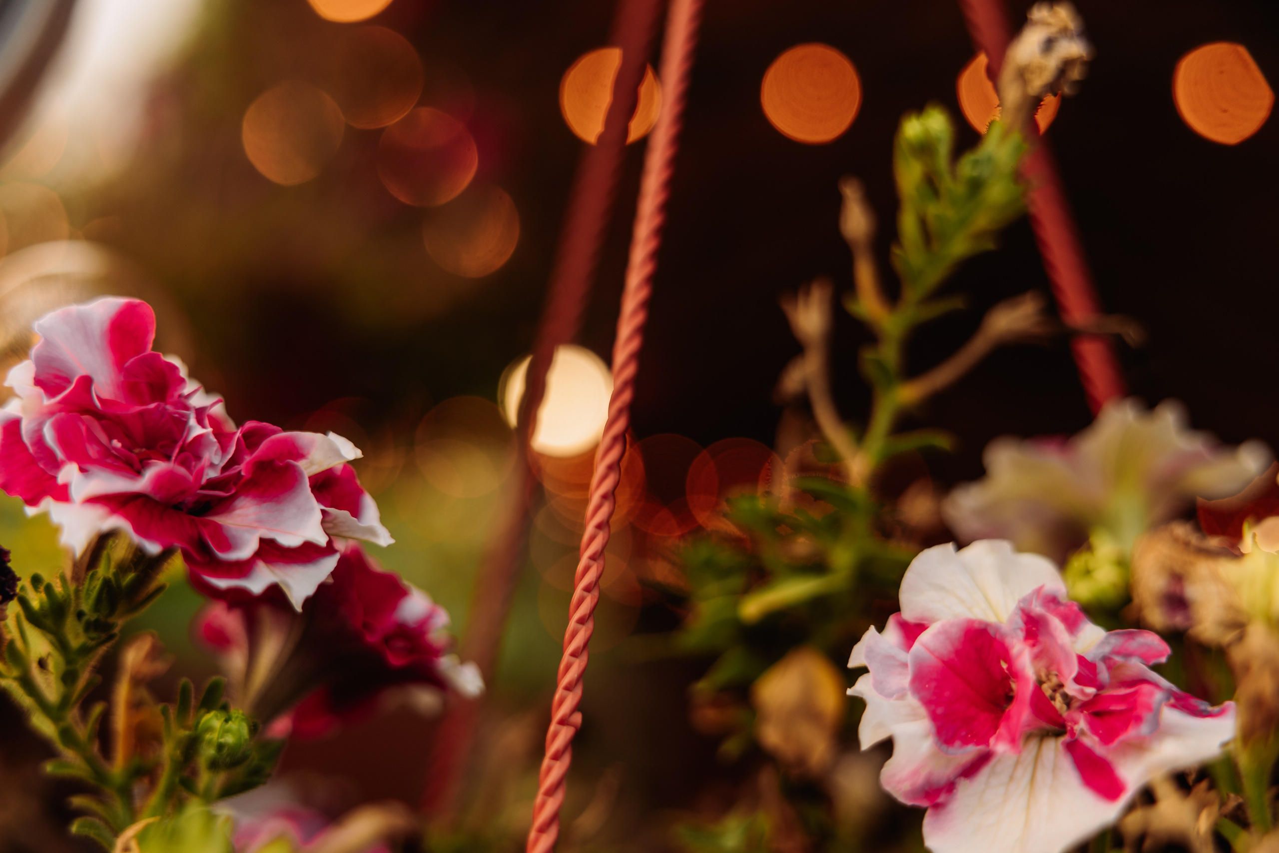 Гостевой Дом «Ривьера» | г. Коломна. ФОТОГРАФ ИРИНА ШАМАТАВА