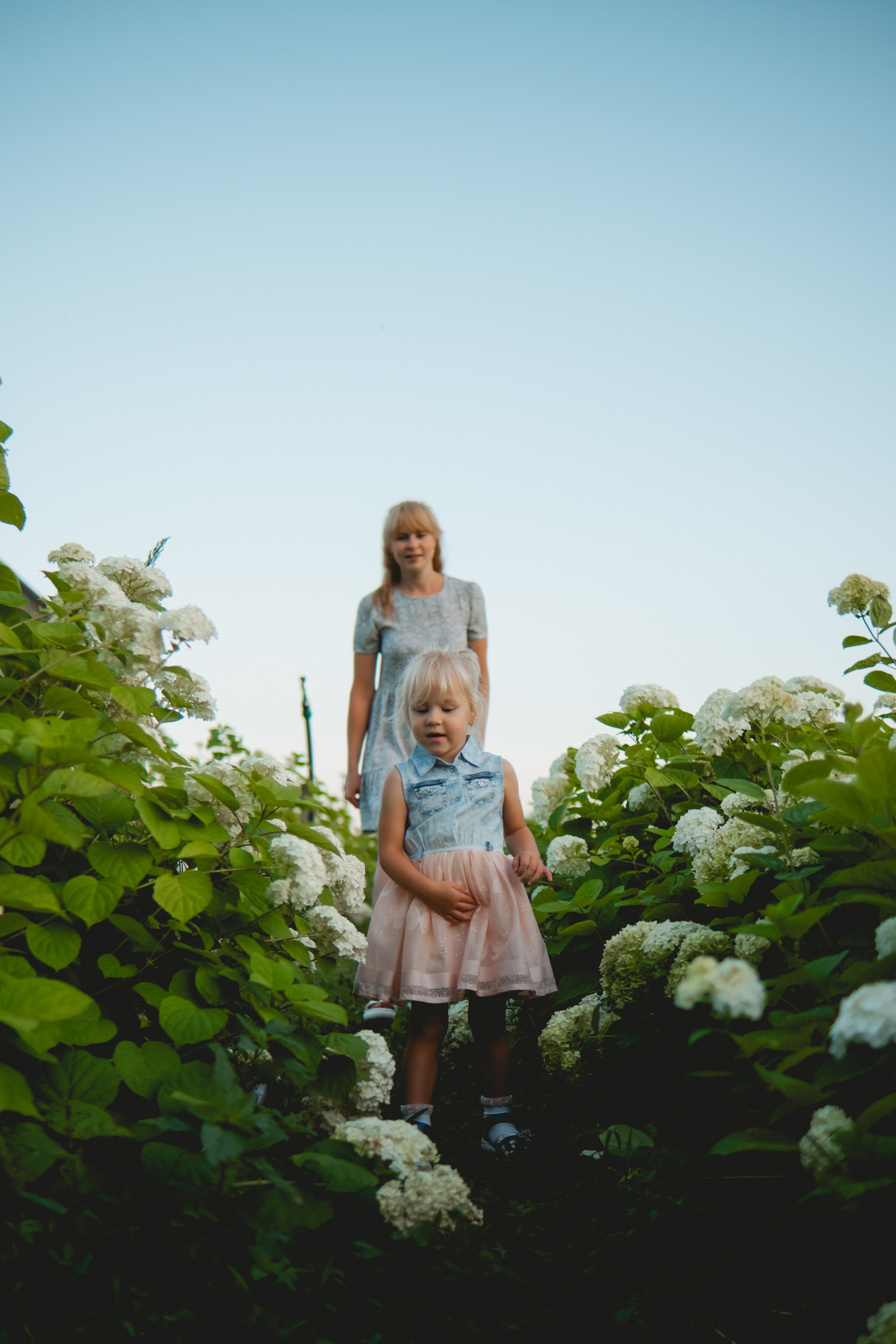 Семейная съемка в лованде. Nattie.ph