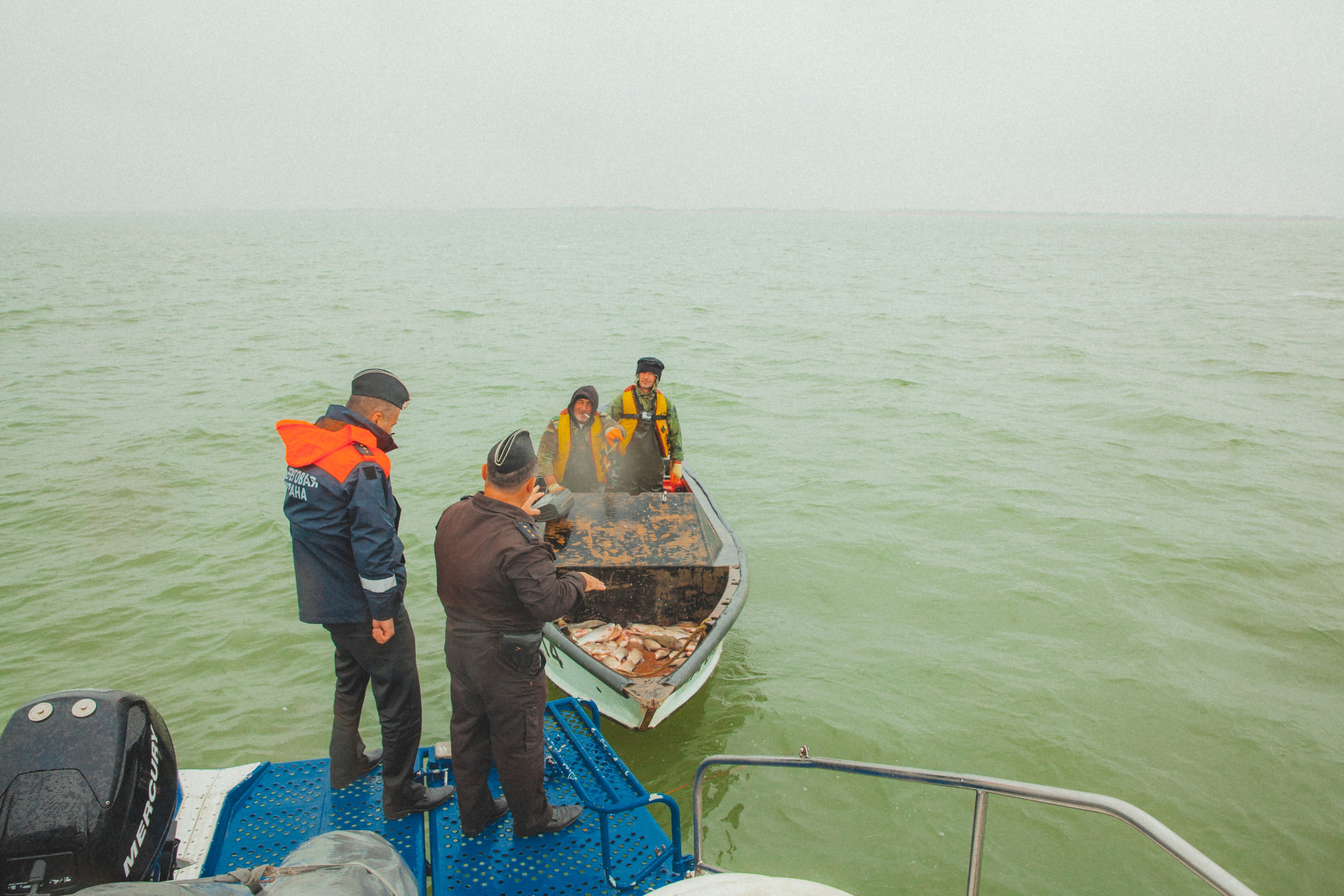 Каспийский страж. Фотограф Александра Степанова
