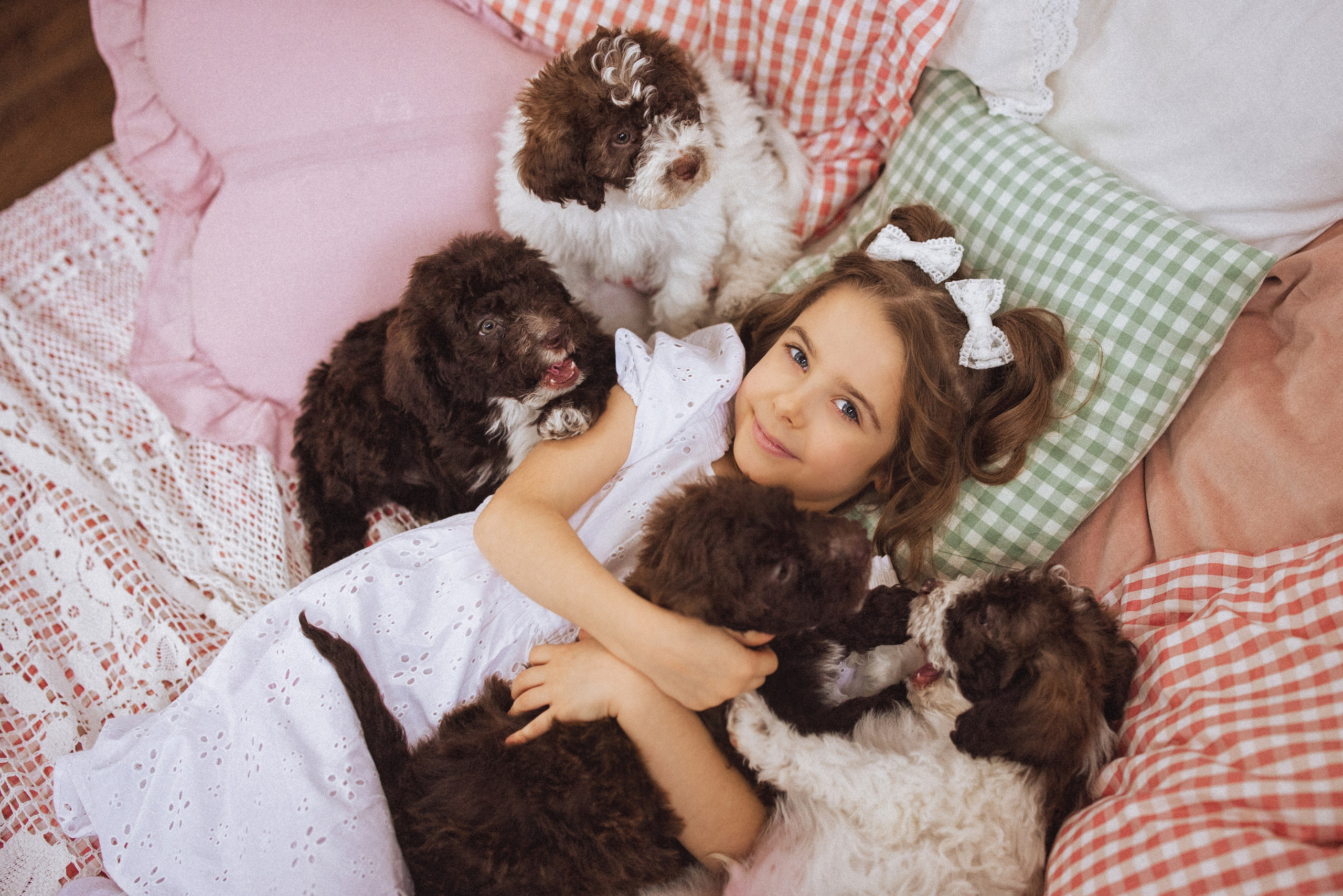 Фотосессия с щенками Лаго́тто-романьо́ло, в Винтажной фотостудии город Краснодар. Семейный и детский фотограф в Краснодаре Анна Трашкова