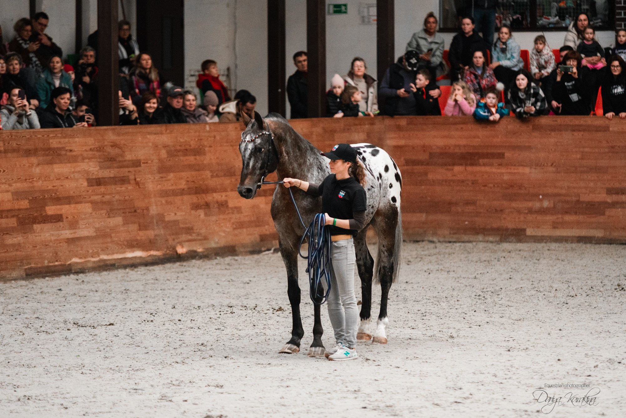 8-я международная выставка Конная Россия. Конный фотограф Куракина Дарья • Фотосессии с лошадьми