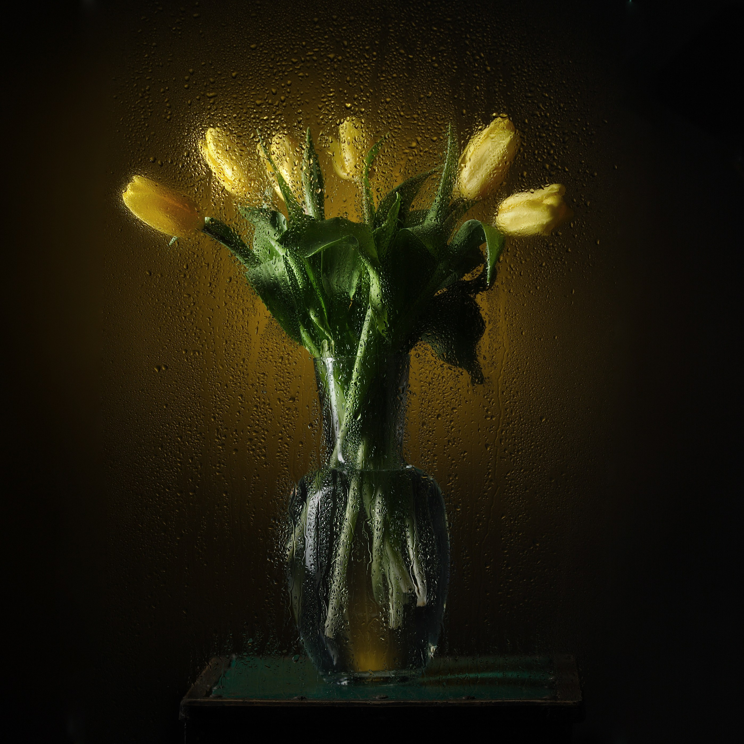 Цветы. Фотограф Мария Кольцова