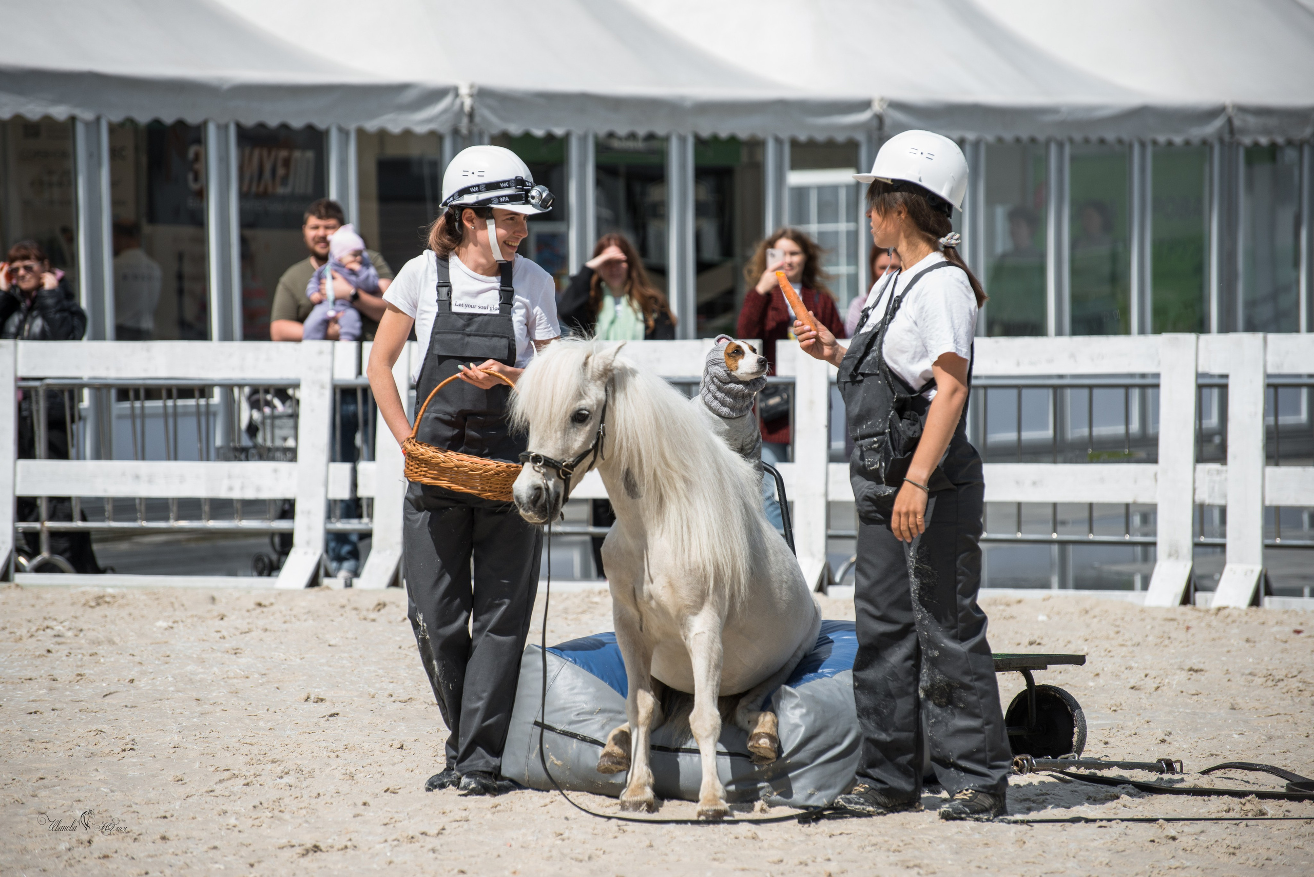 Эквирос, Москва. Конный фотограф в Саратове Юлия Иванова