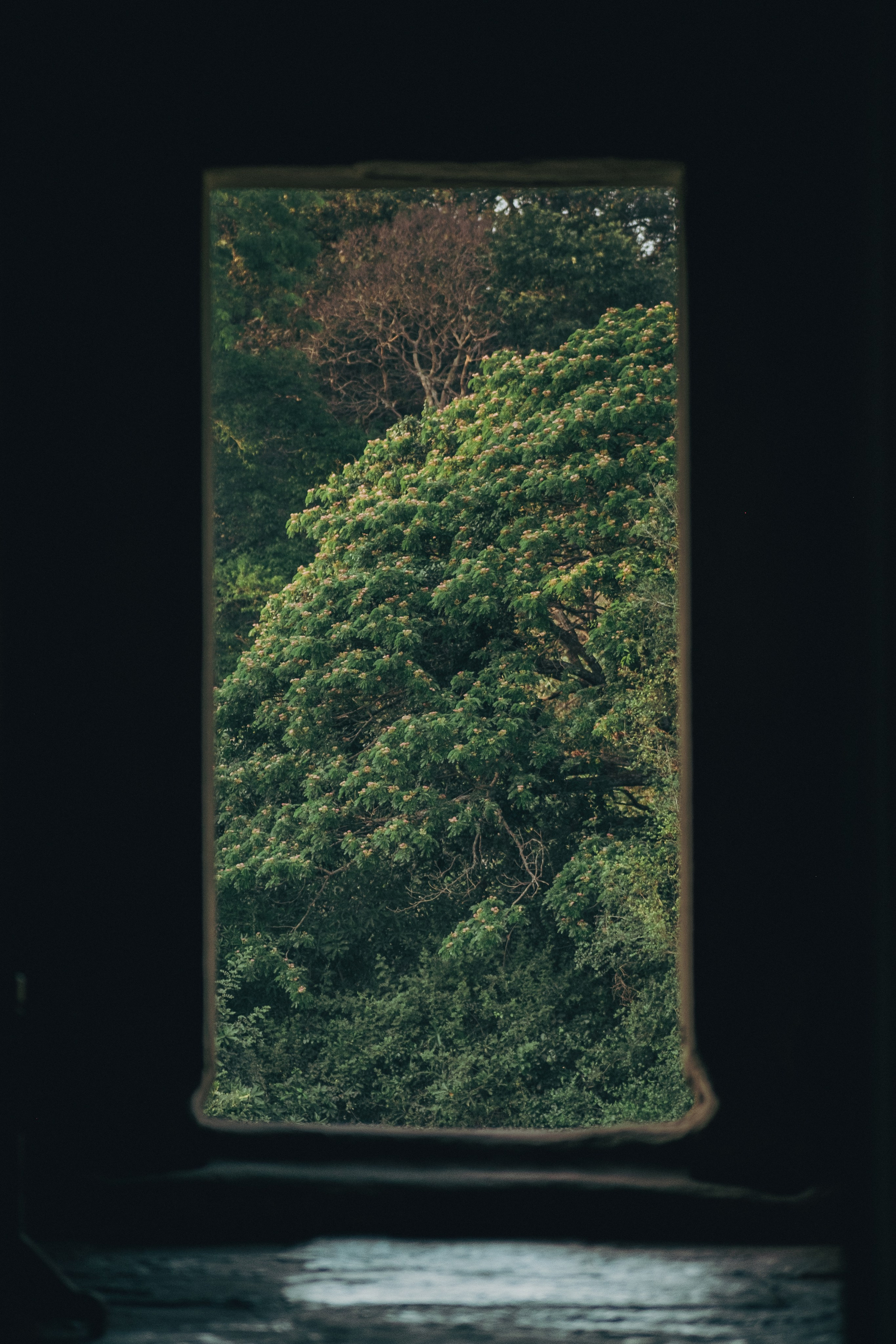 Cambodia. Dmitry Ippolitov