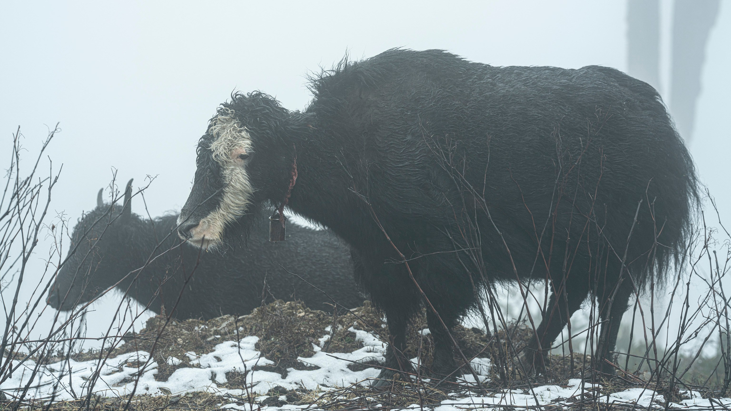 India travel. Фотограф Сергей Танков