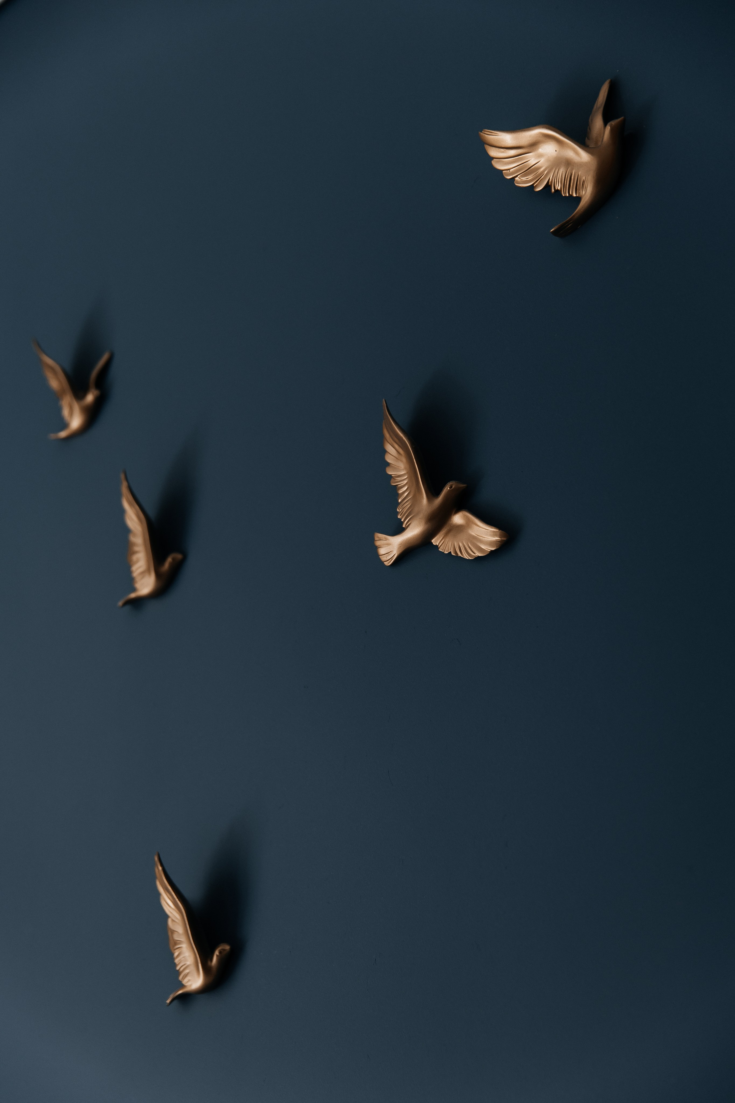 Свадьба Илья и Вероника. Свадебный и семейный фотограф в Севастополе и Крыму Анастасия Сураева