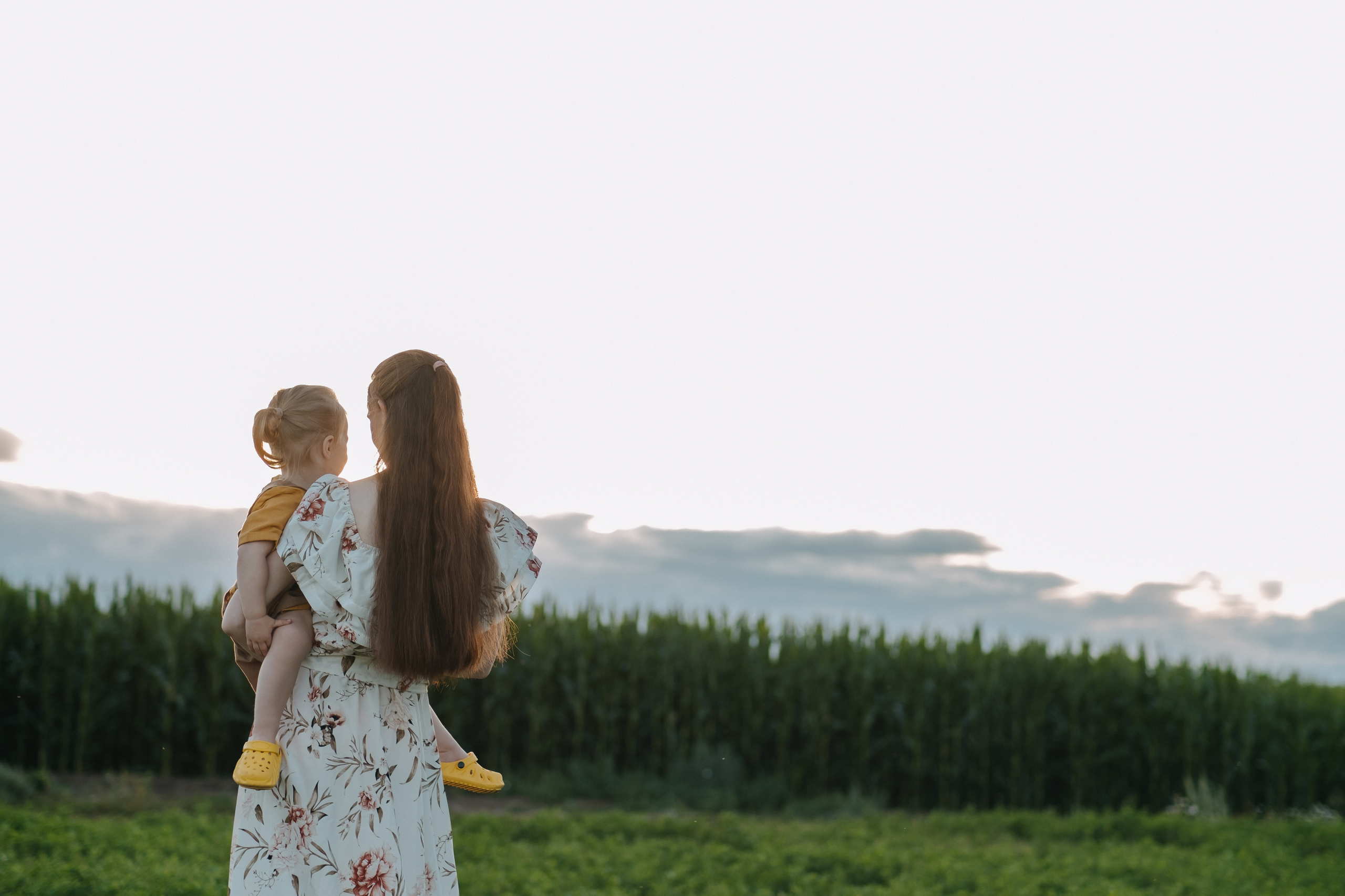 Прогулка в кукурузе. Фотограф Москва, Смоленск