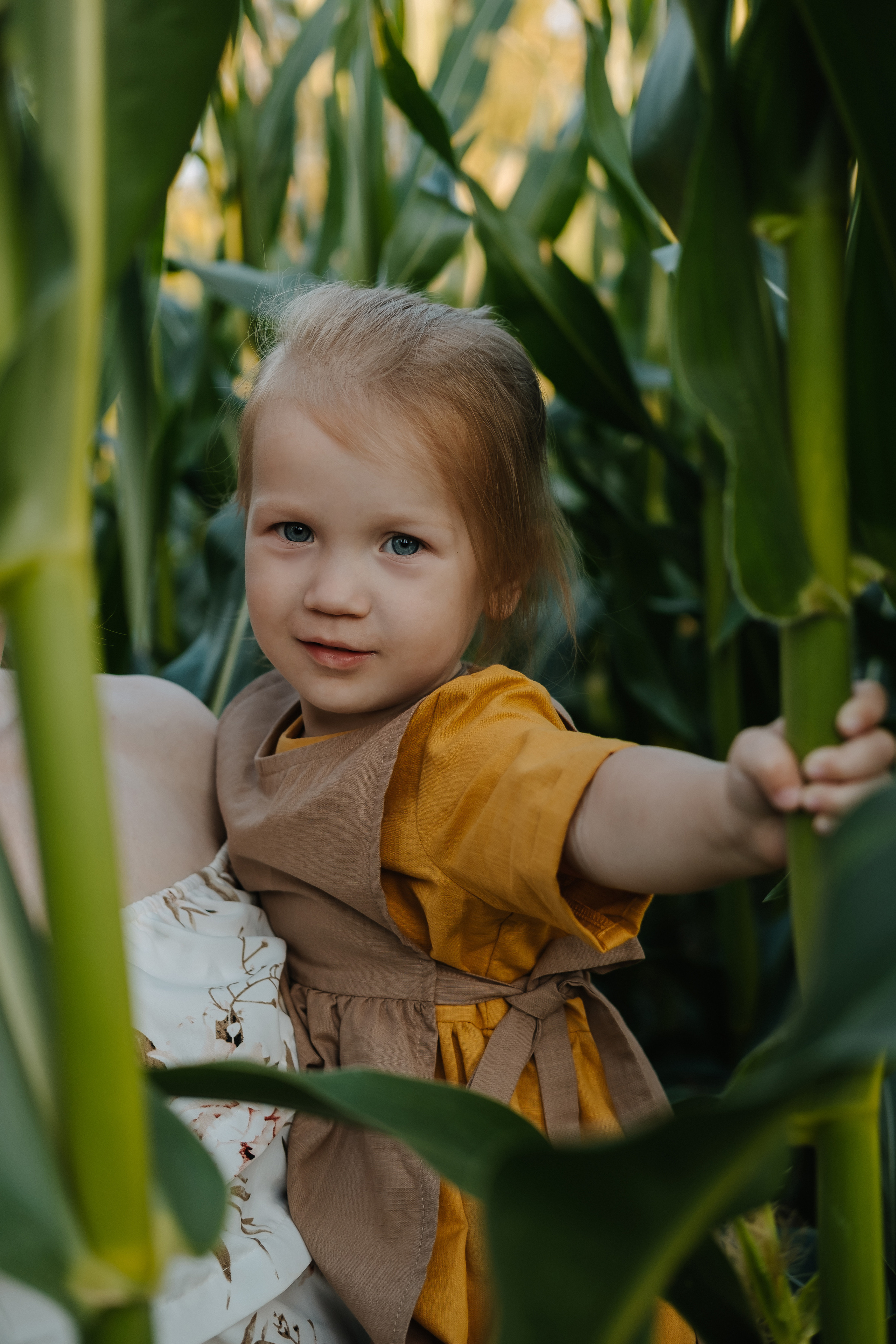 Прогулка в кукурузе. Фотограф Москва, Смоленск