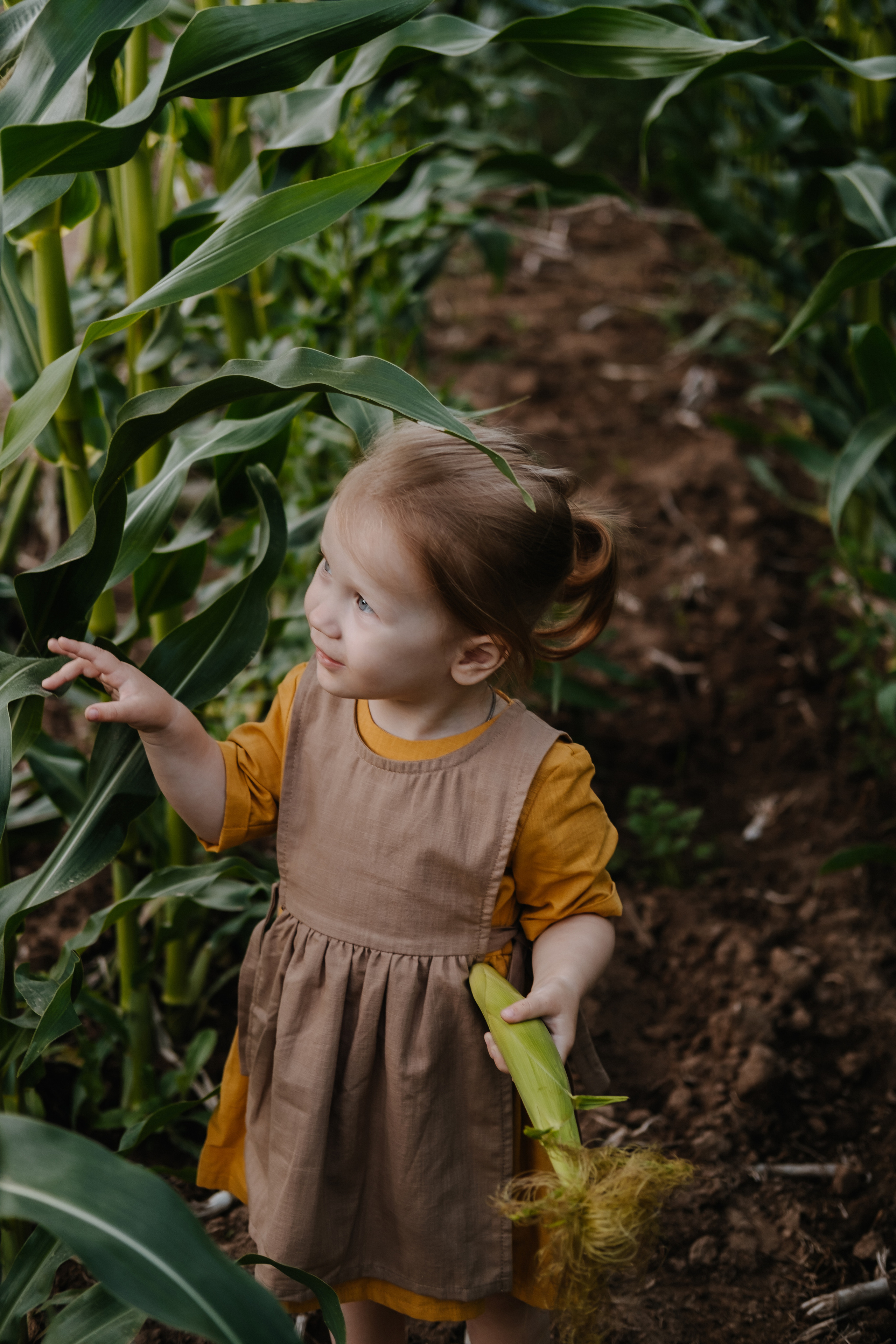 Прогулка в кукурузе. Фотограф Москва, Смоленск