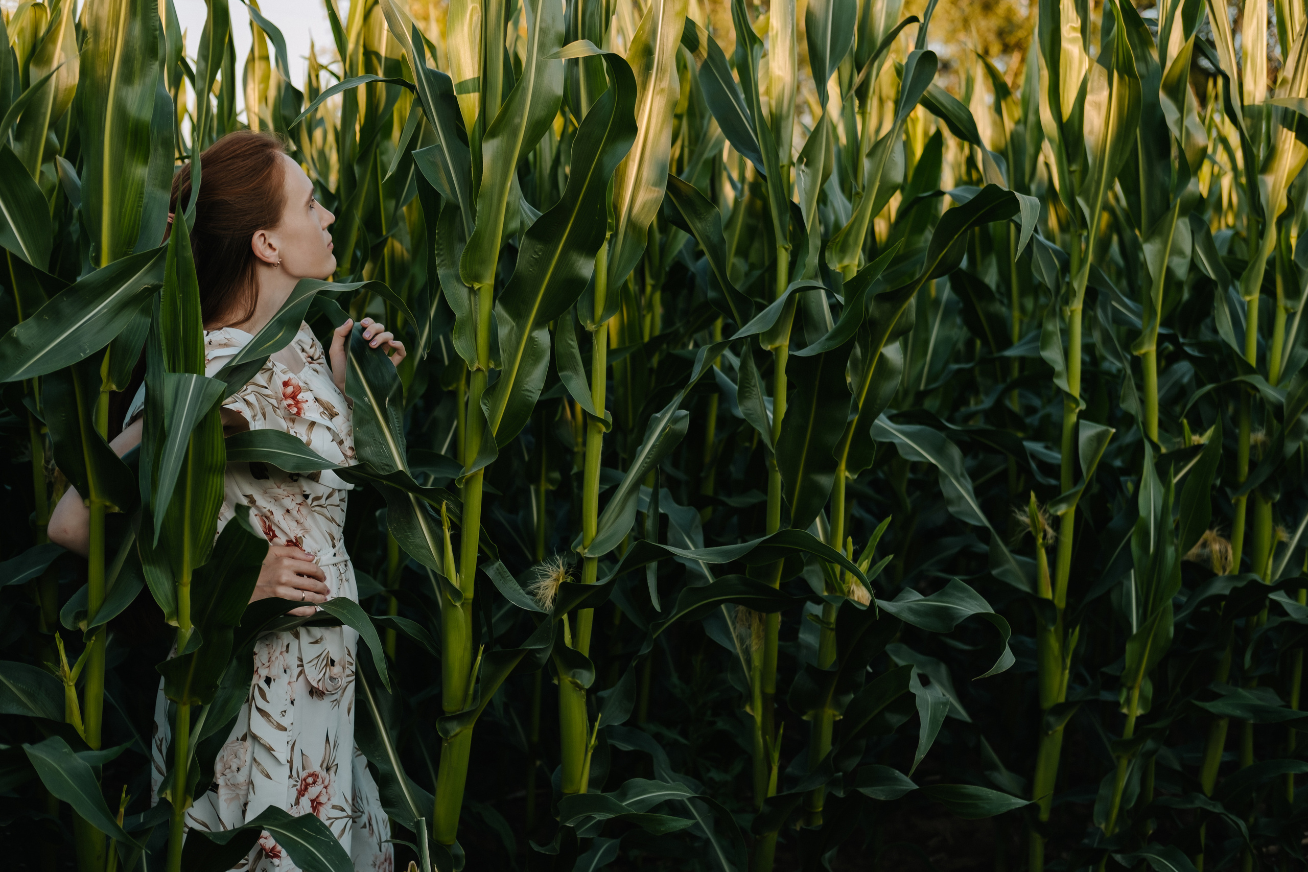Прогулка в кукурузе. Фотограф Москва, Смоленск