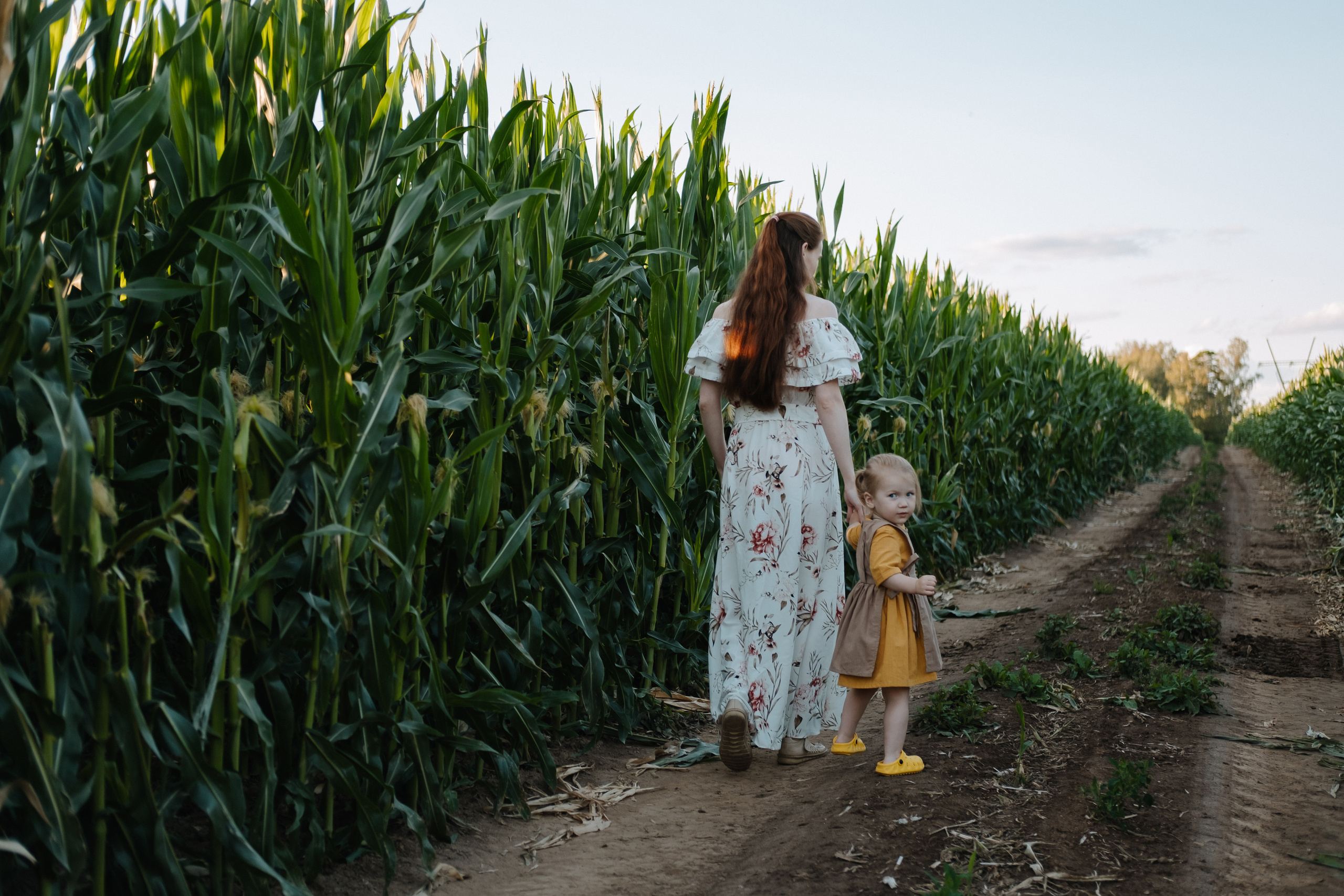 Прогулка в кукурузе. Фотограф Москва, Смоленск