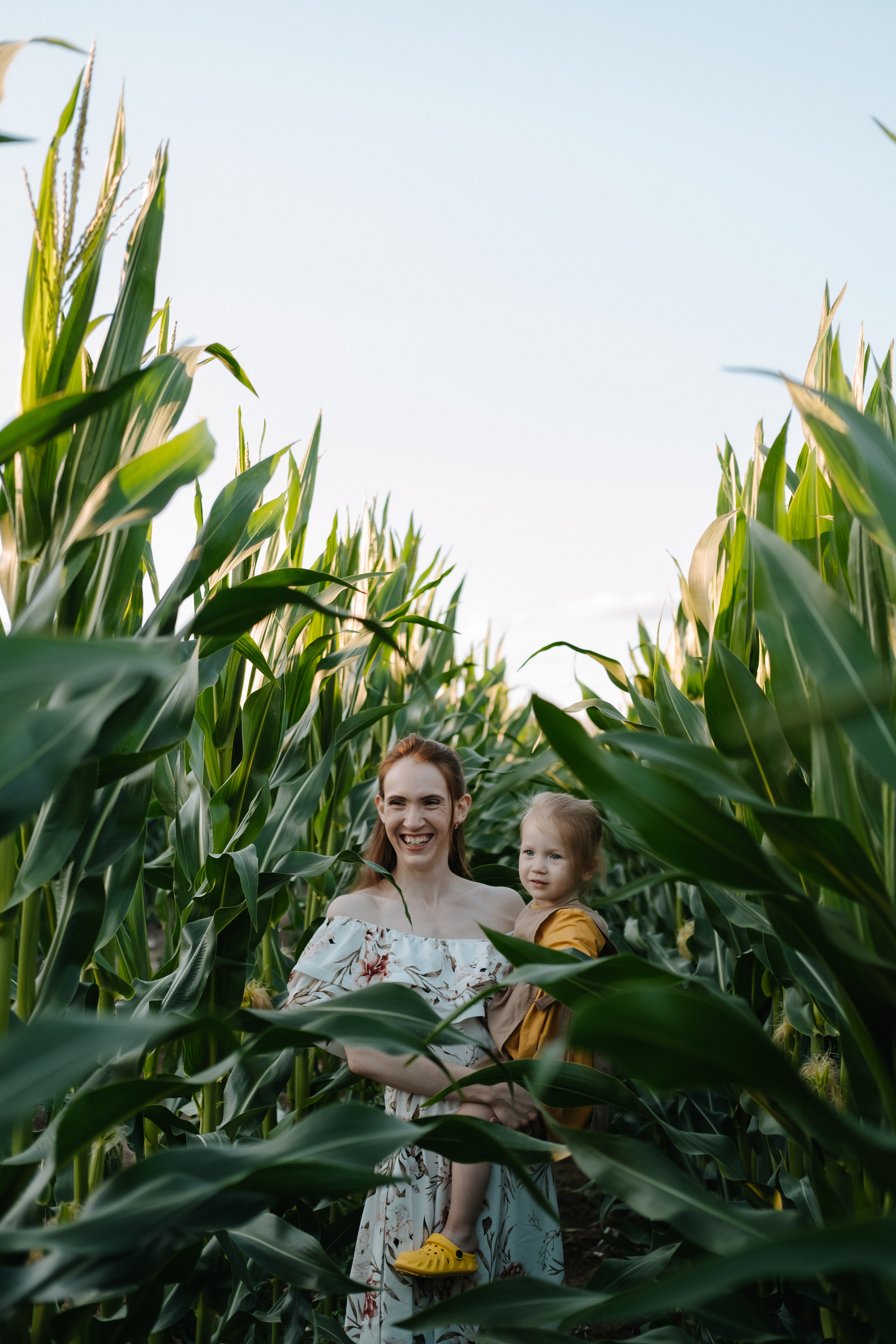 Прогулка в кукурузе. Фотограф Москва, Смоленск