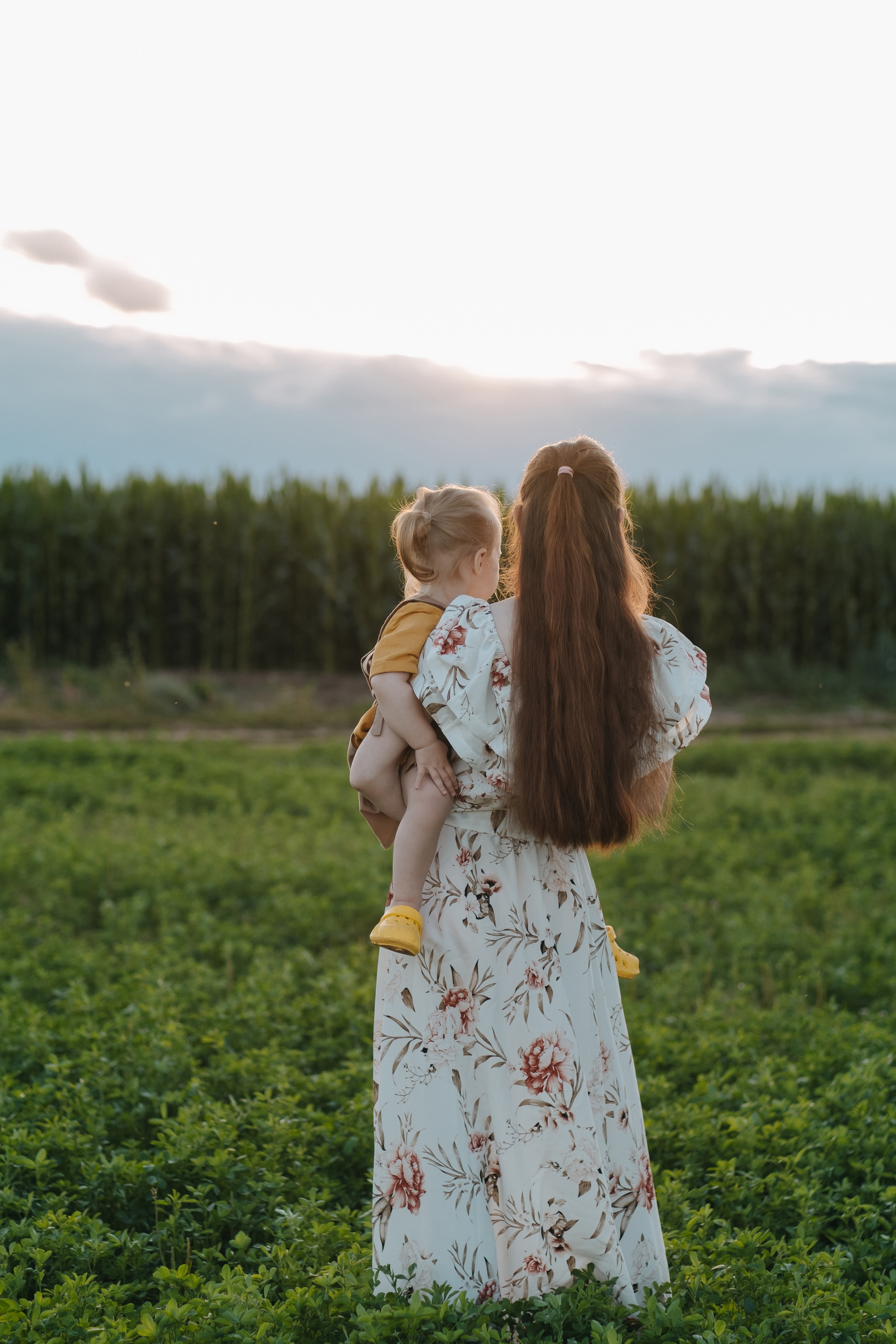Прогулка в кукурузе. Фотограф Москва, Смоленск