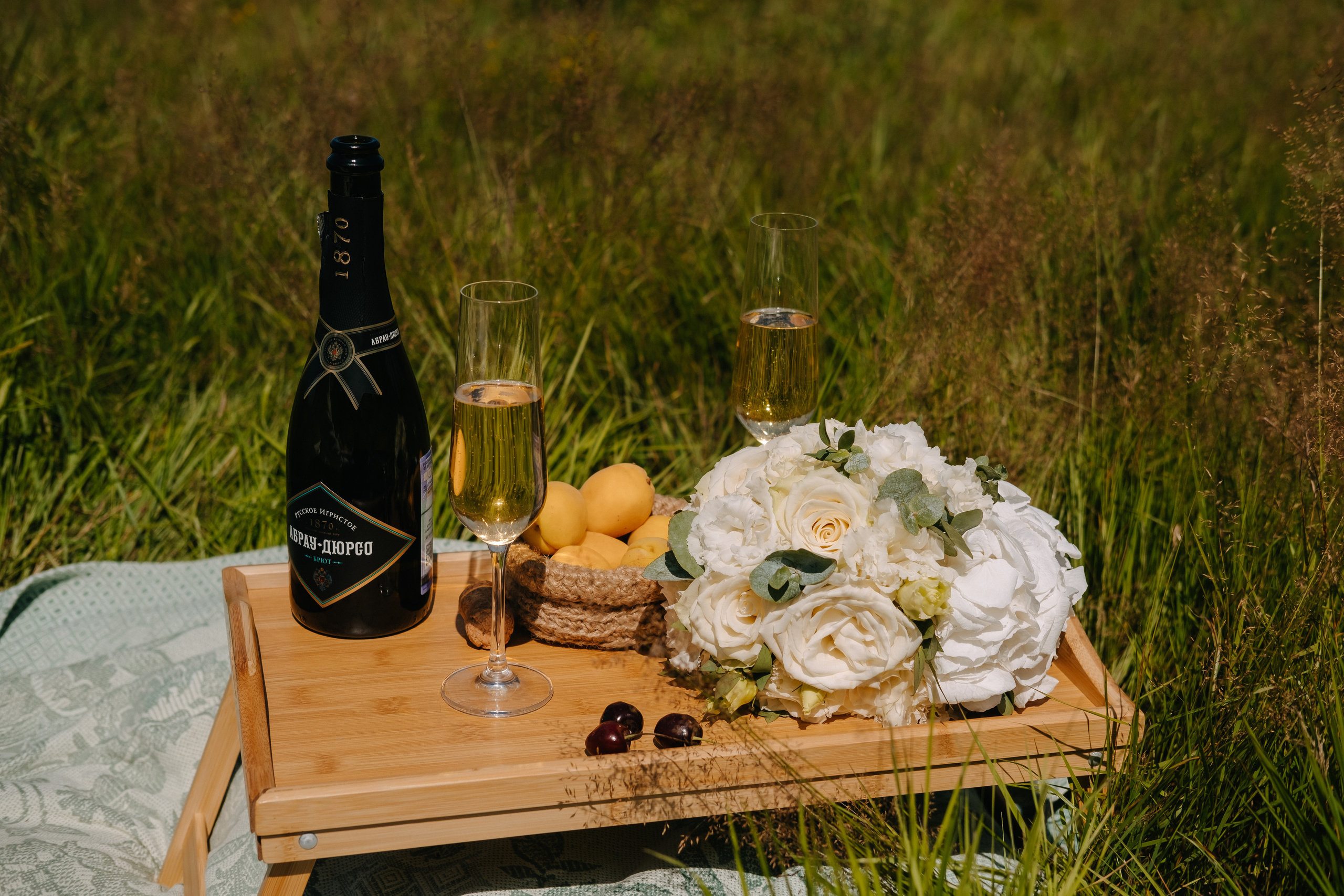 Илья и Александра. Фотограф Москва, Смоленск