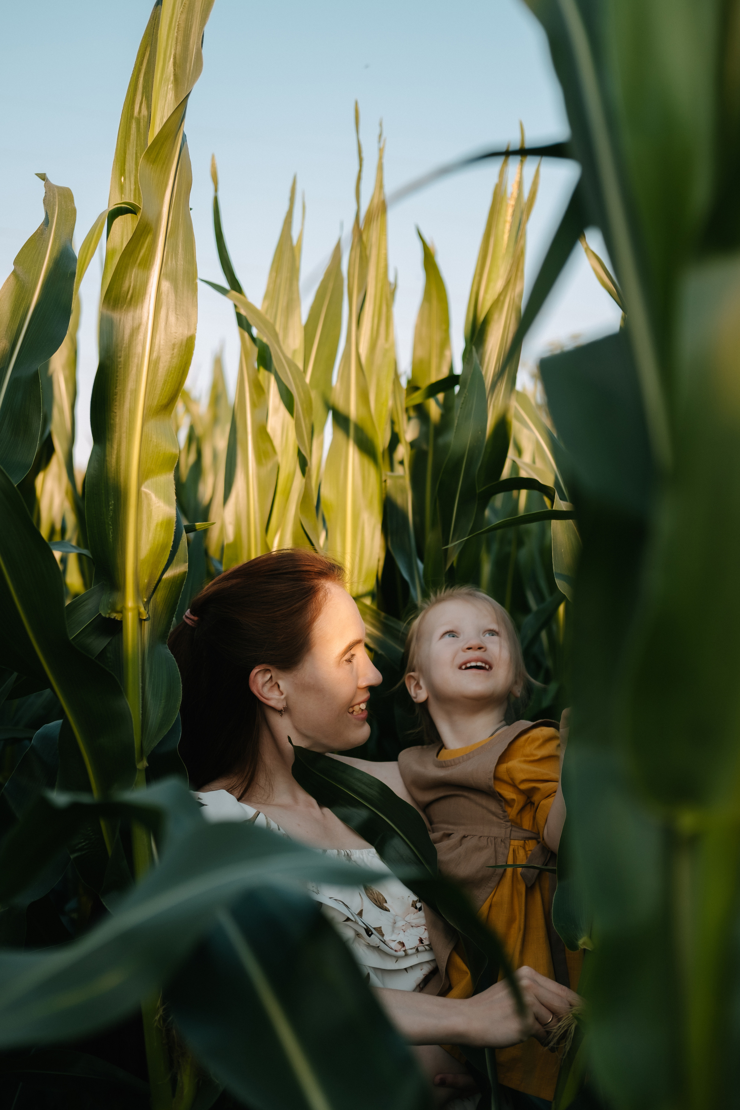 Прогулка в кукурузе. Фотограф Москва, Смоленск