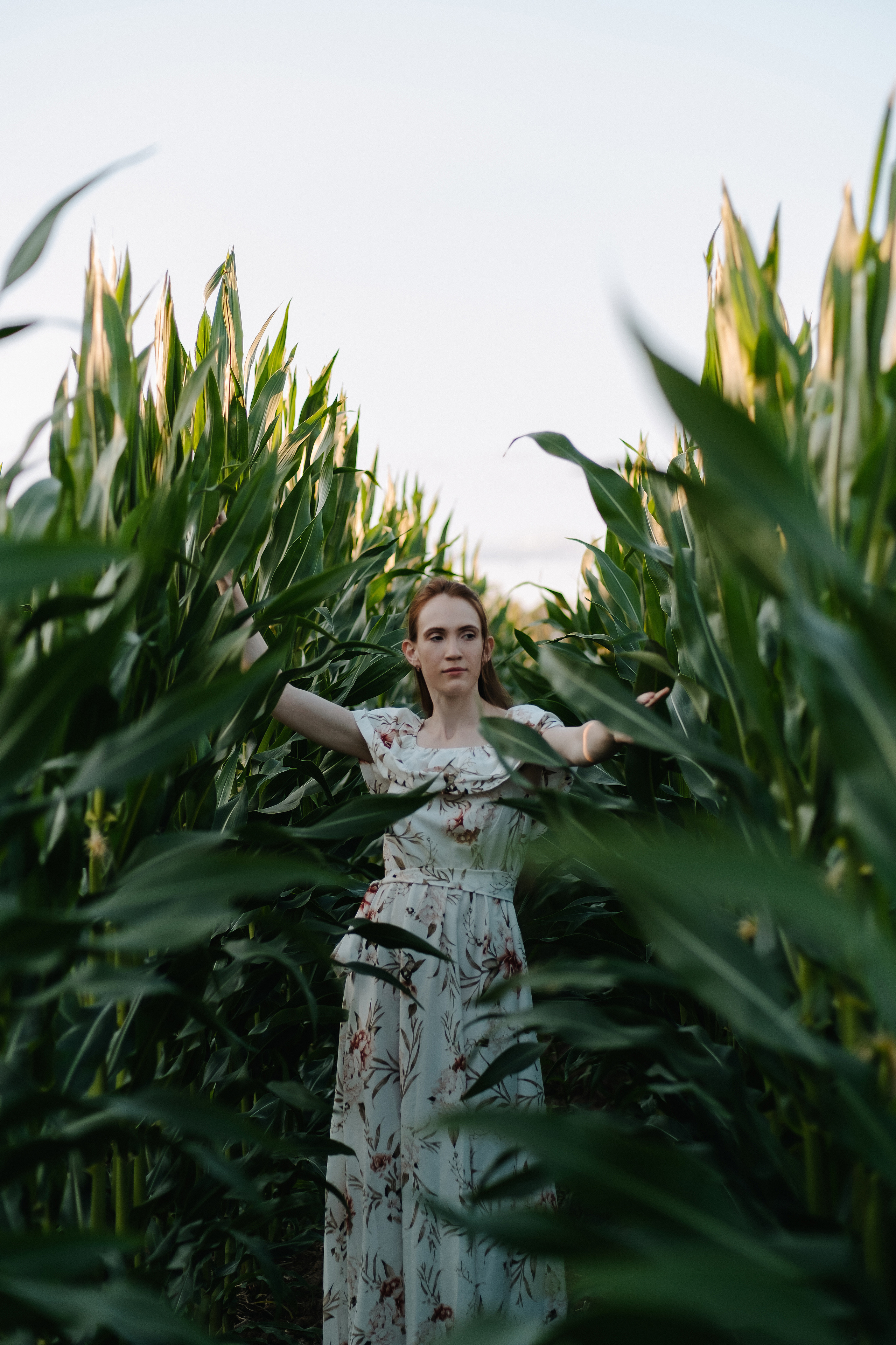 Прогулка в кукурузе. Фотограф Москва, Смоленск