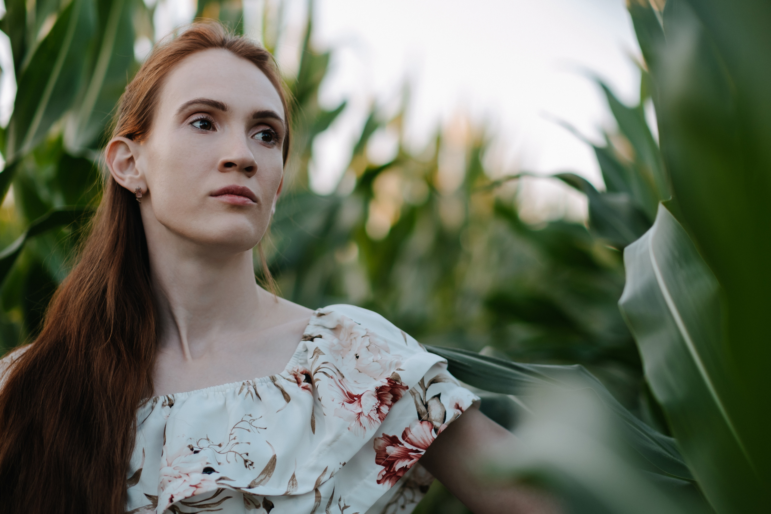 Прогулка в кукурузе. Фотограф Москва, Смоленск