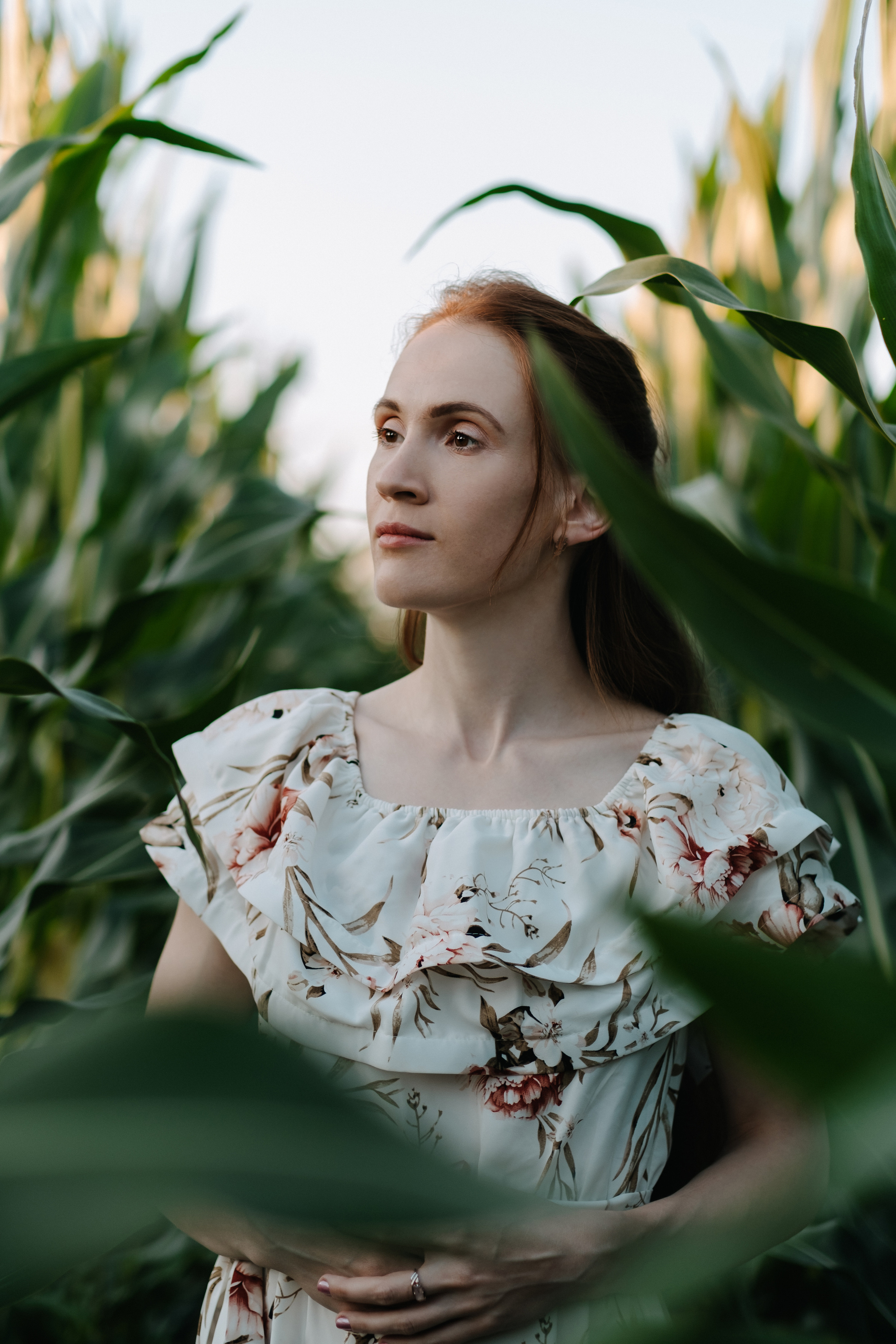 Прогулка в кукурузе. Фотограф Москва, Смоленск