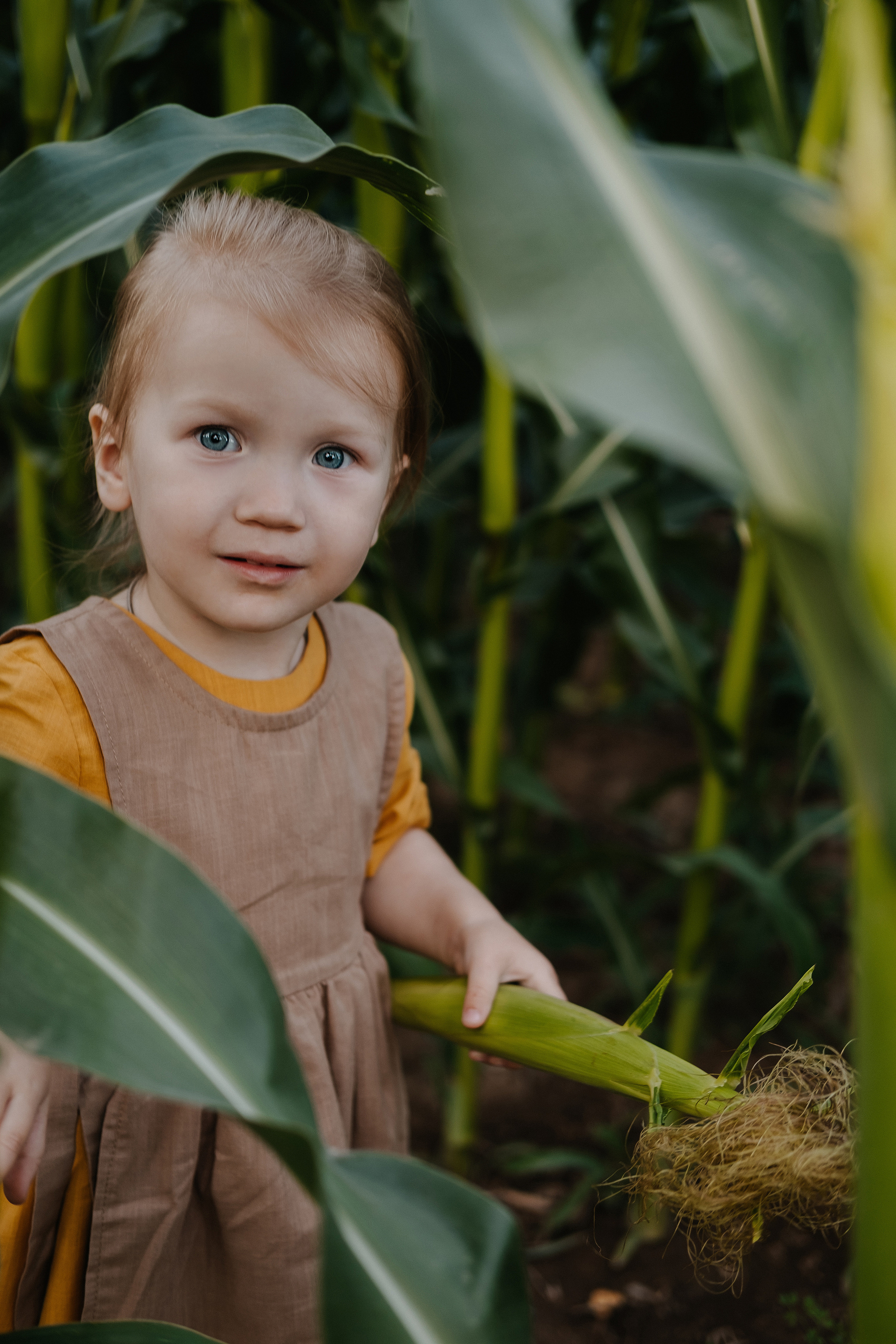 Прогулка в кукурузе. Фотограф Москва, Смоленск