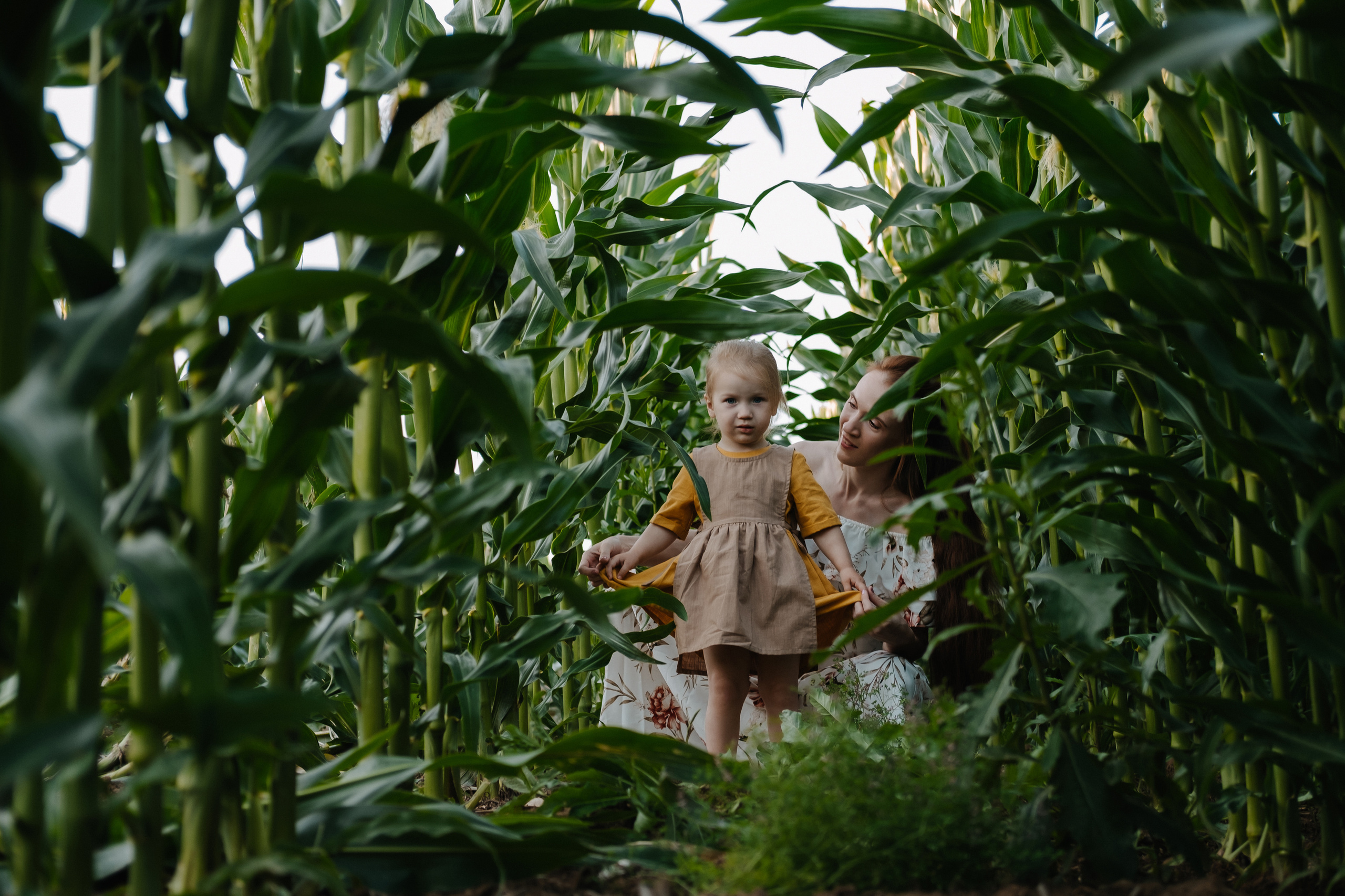 Прогулка в кукурузе. Фотограф Москва, Смоленск