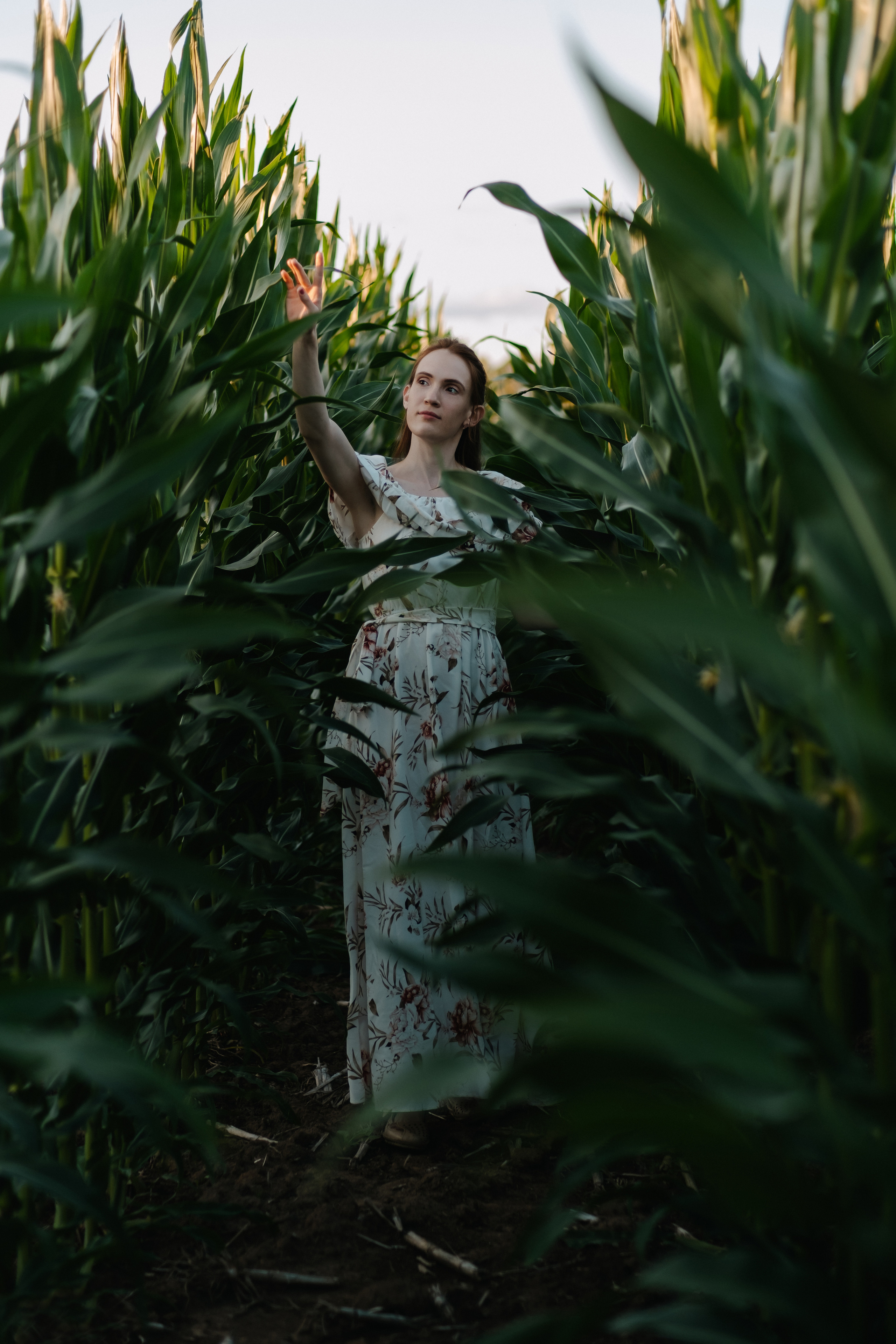 Прогулка в кукурузе. Фотограф Москва, Смоленск