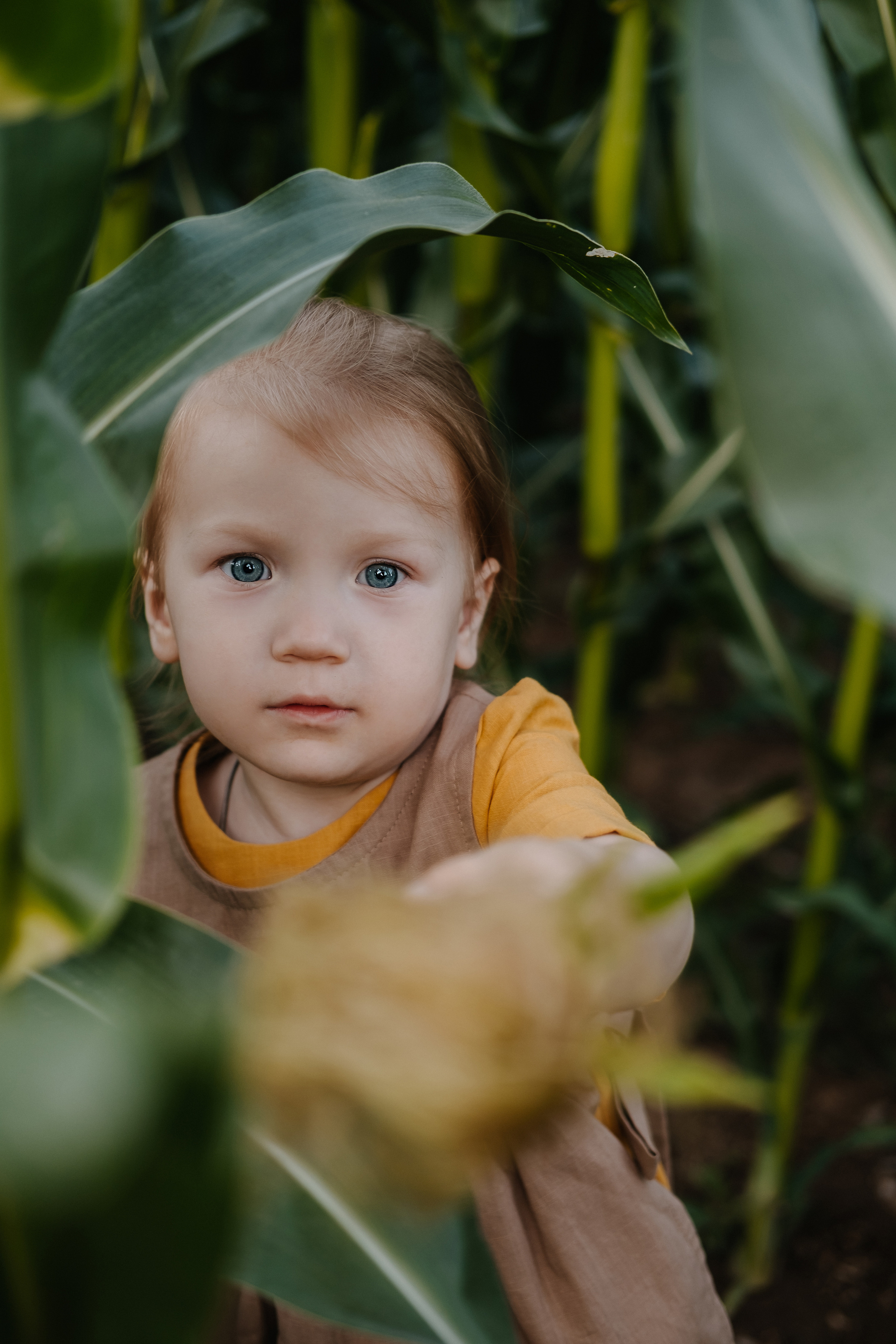 Прогулка в кукурузе. Фотограф Москва, Смоленск