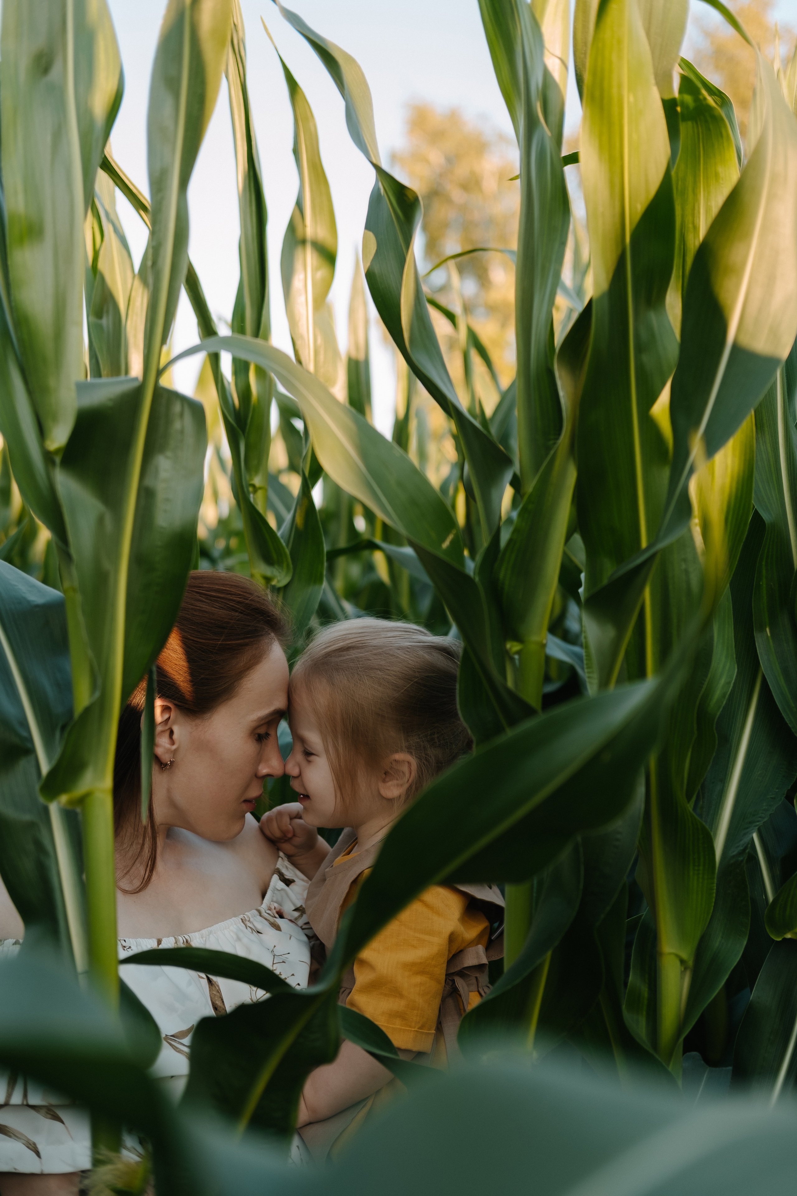 Прогулка в кукурузе. Фотограф Москва, Смоленск