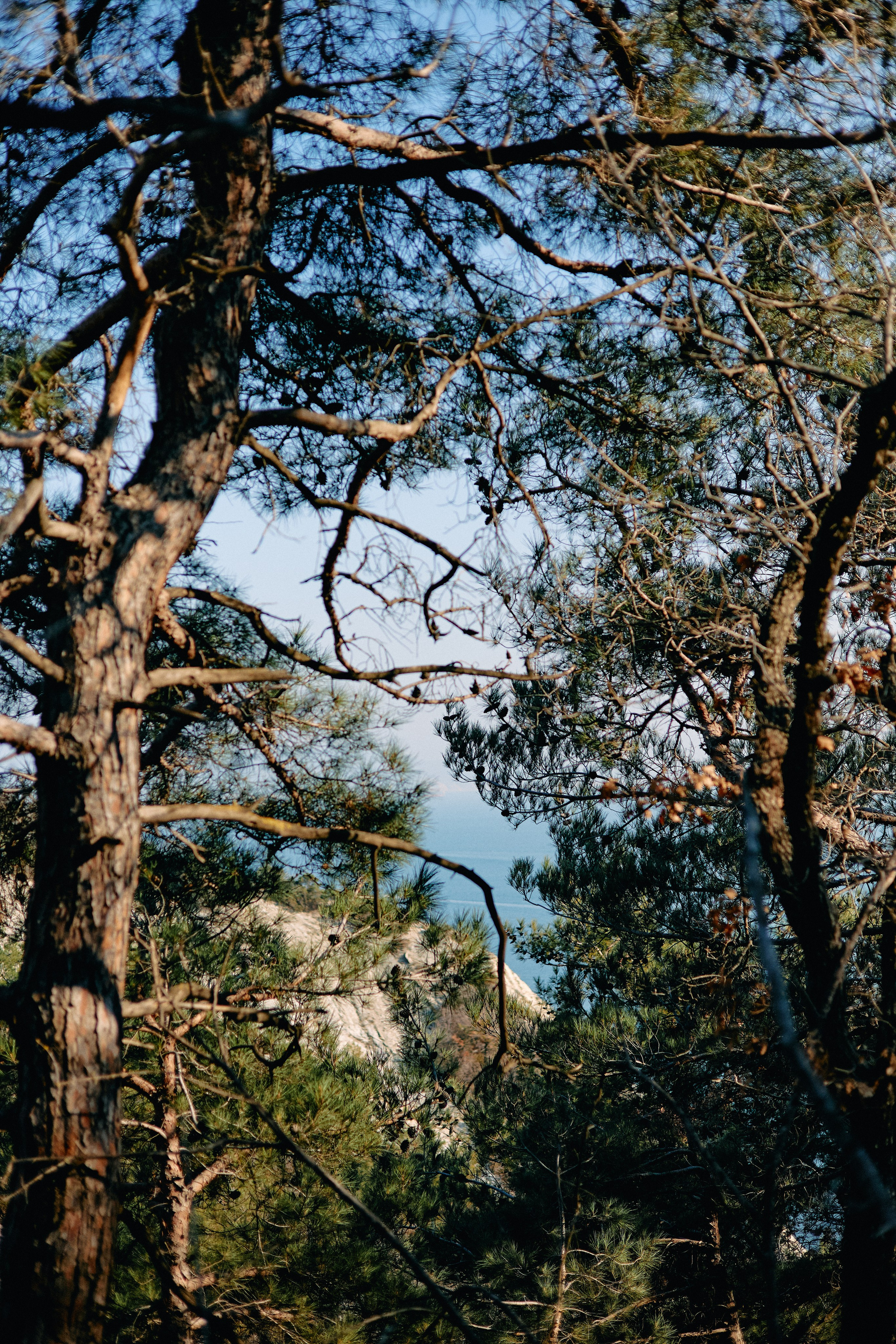 Юг России. Профессиональный Фотограф во Владимире, в Москве и в Суздале — Полина Романычева