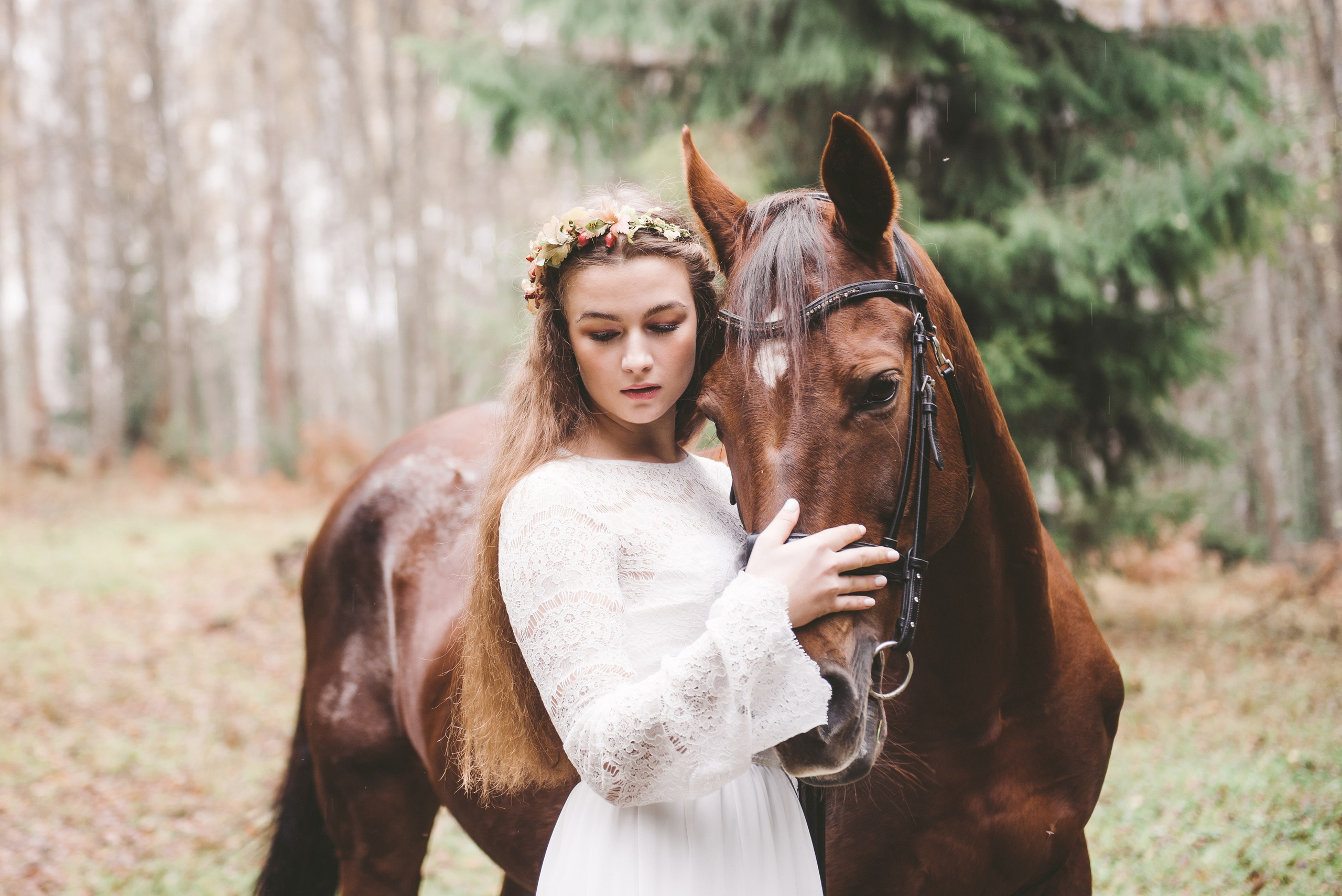 Лесная сказка с лошадками. Свадебный и семейный фотограф София Невская