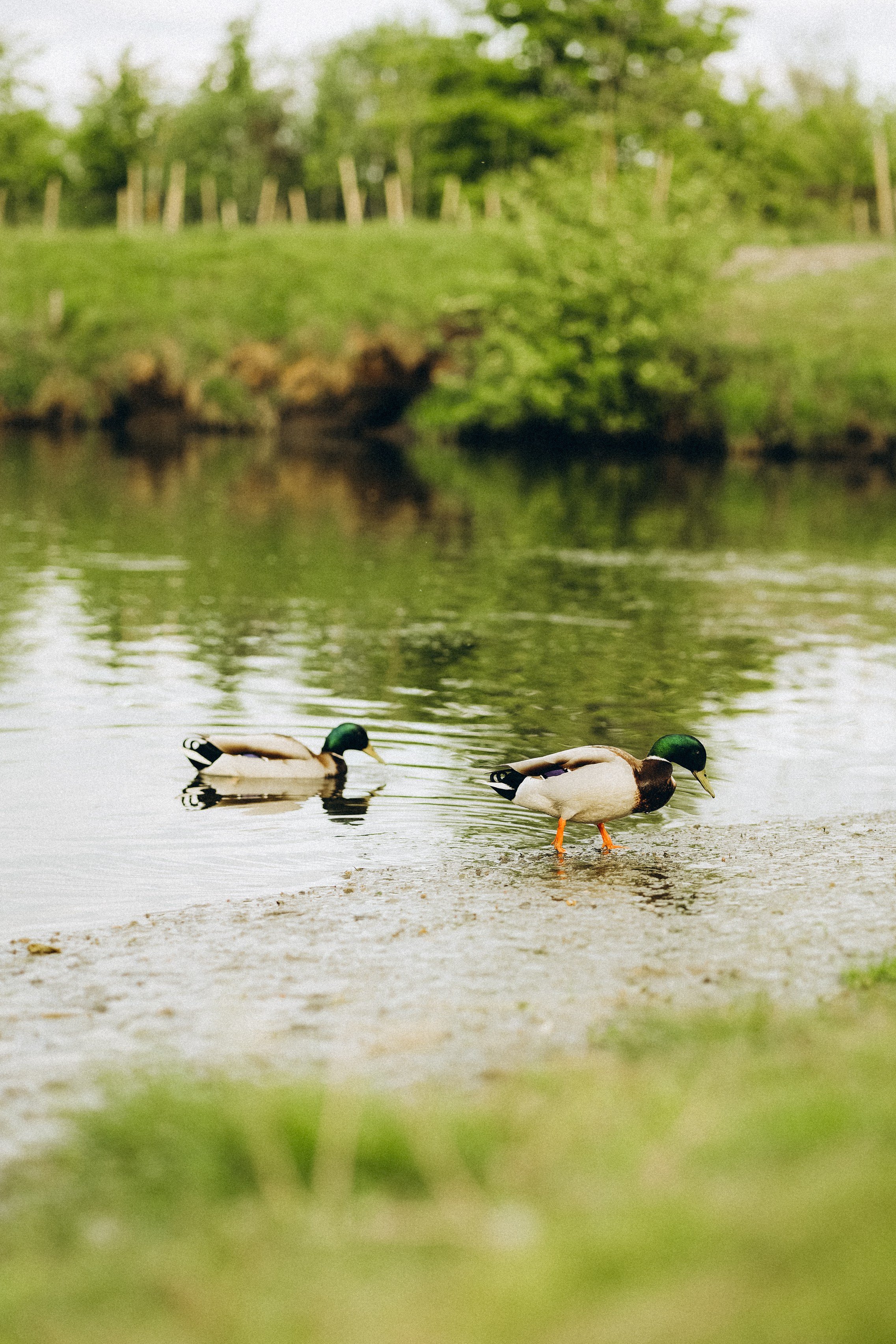 Семейная прогулка в Динопарке
