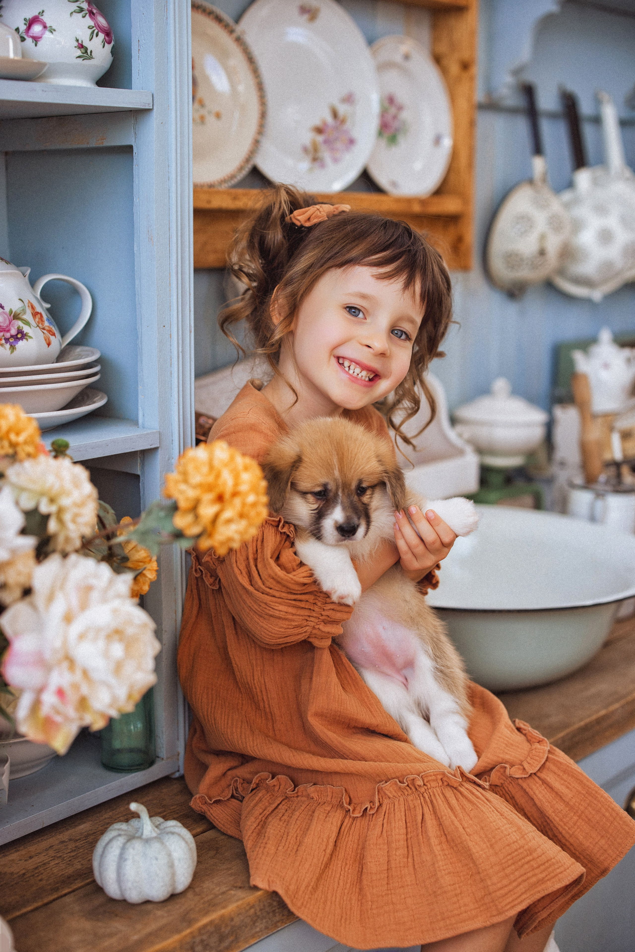 Фотосессия с щенками Корги, в фотостудии Ольги Сурухановой, город Краснодар. Семейный и детский фотограф в Краснодаре Анна Трашкова