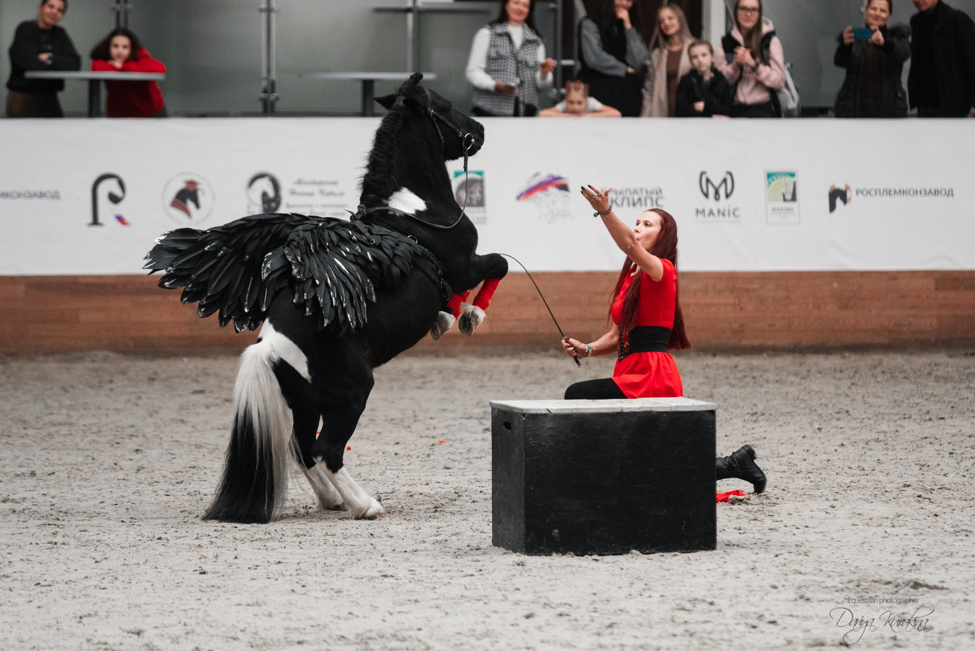 8-я международная выставка Конная Россия. Конный фотограф Куракина Дарья • Фотосессии с лошадьми