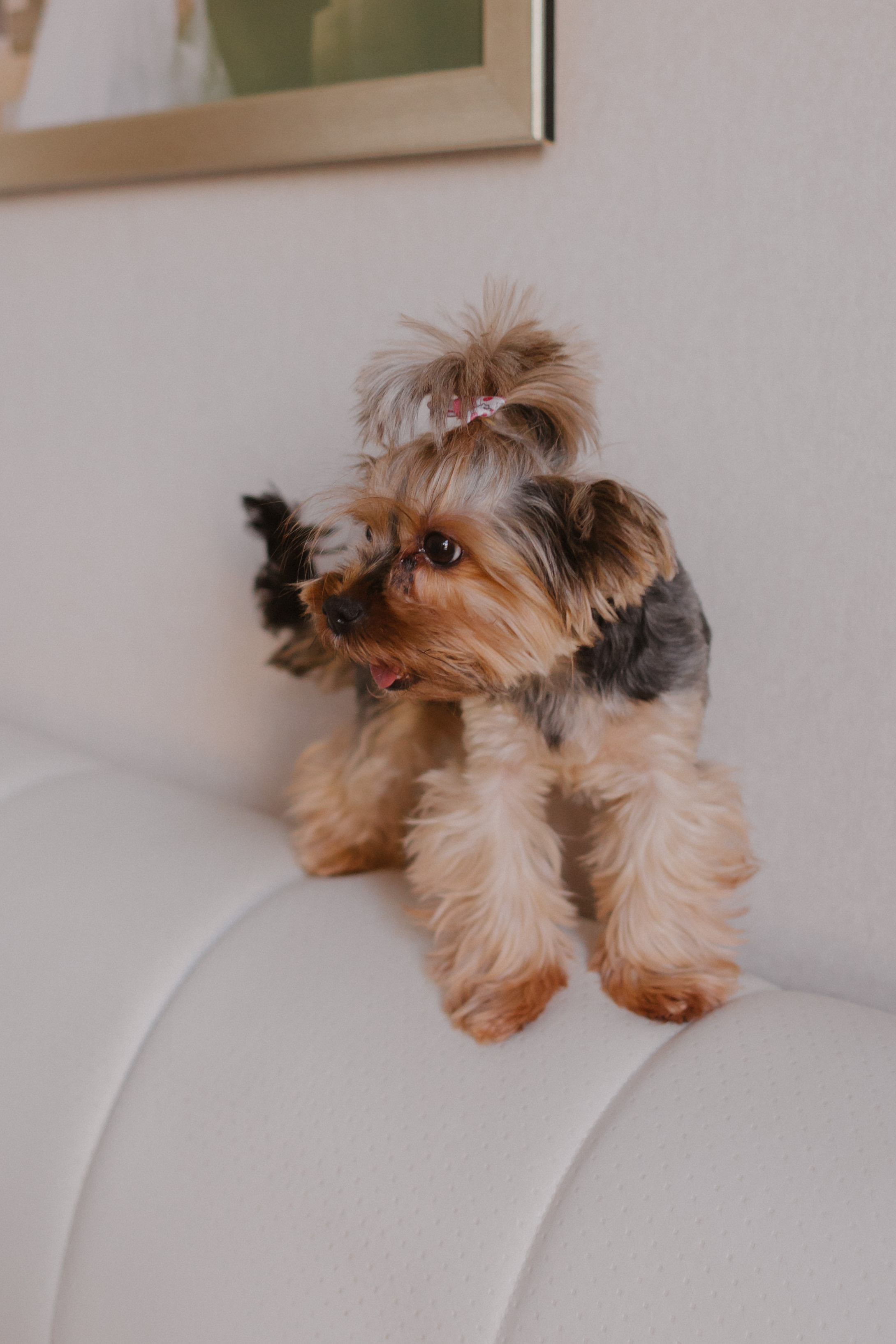 Домашняя фотосессия Оля + Евгений + Даня. Свадебный и семейный фотограф г. Волгоград Биленко Ангелина