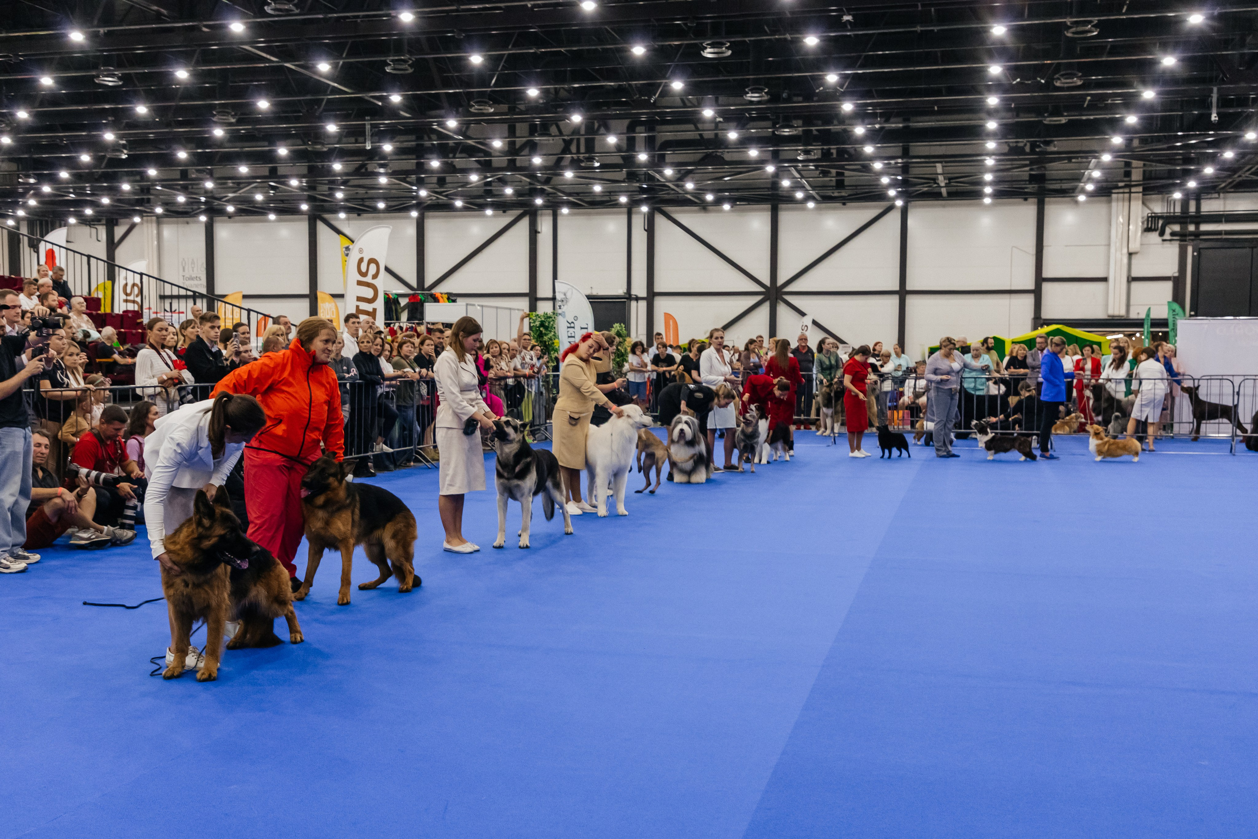 Зоошоу. Экспофорум 31.08. Выставка домашних животных. Семейный фотограф в Санкт-Петербурге Ева Маркова