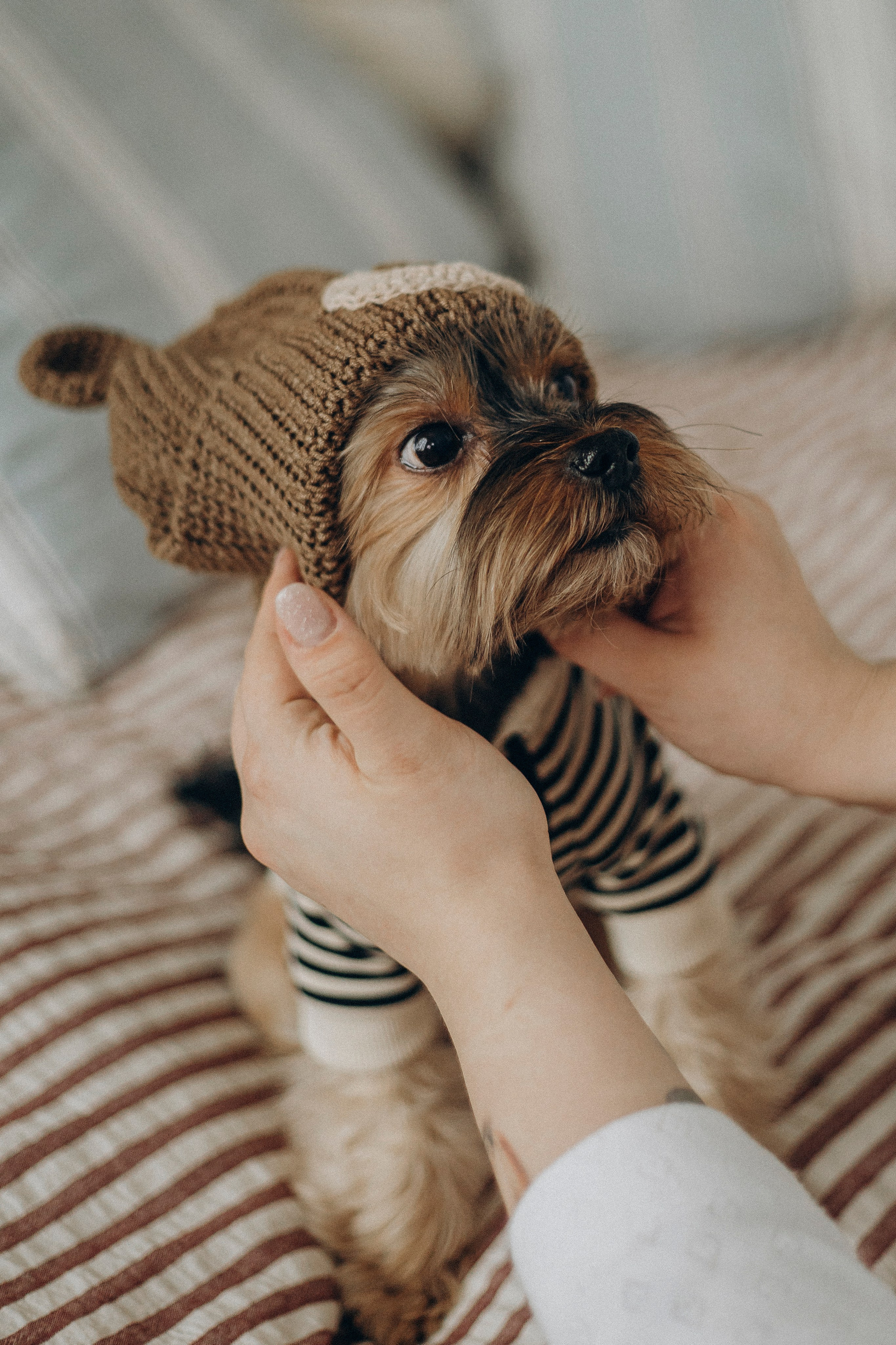 Сьемка в ожидании. Семейный и детский фотограф в Рязани Васюгова Мария