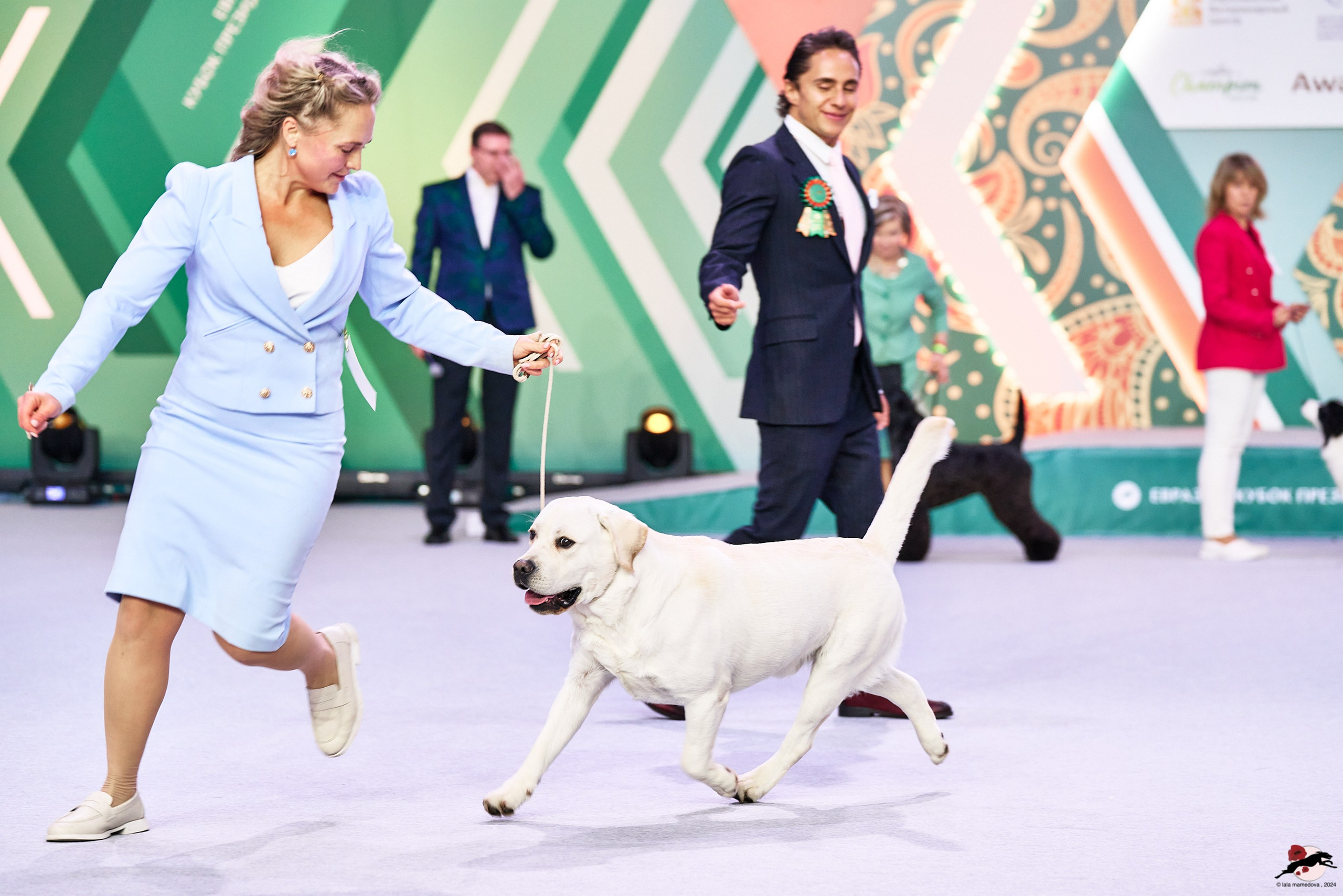 16.11.2024 «ЕВРАЗИЯ. КУБОК ПРЕЗИДЕНТА РКФ 2024»