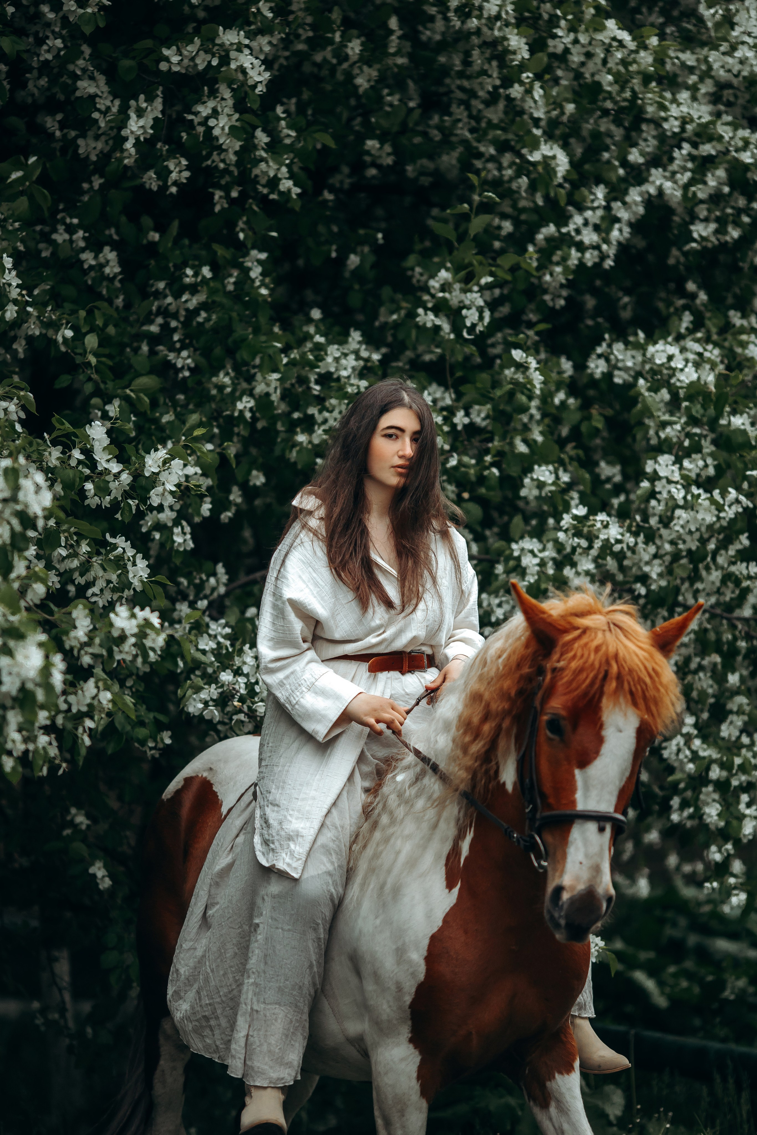 Весенние цветения. Анна Молчанова конный фотограф в Тюмени | фотосессии с лошадьми Тюмень
