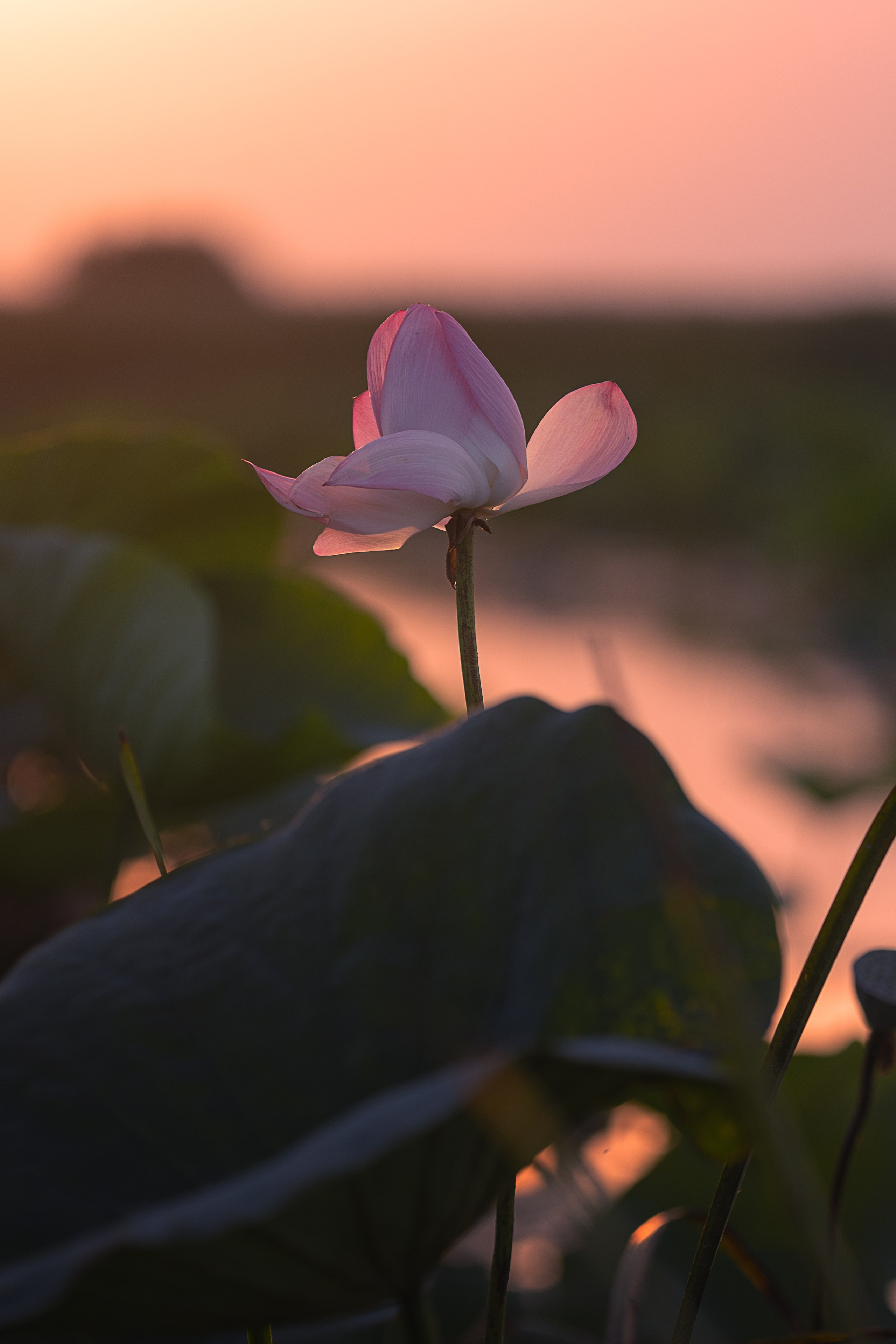 Астраханская область 2025 | Фотограф Дмитрий Купрацевич. Дмитрий Купрацевич профессиональный пейзажный и travel-фотограф