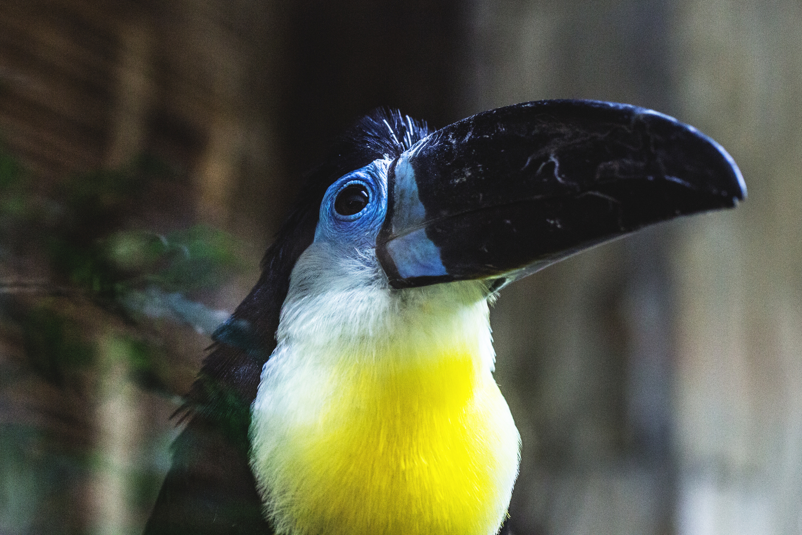 Природа. Фотограф Юля Постнова