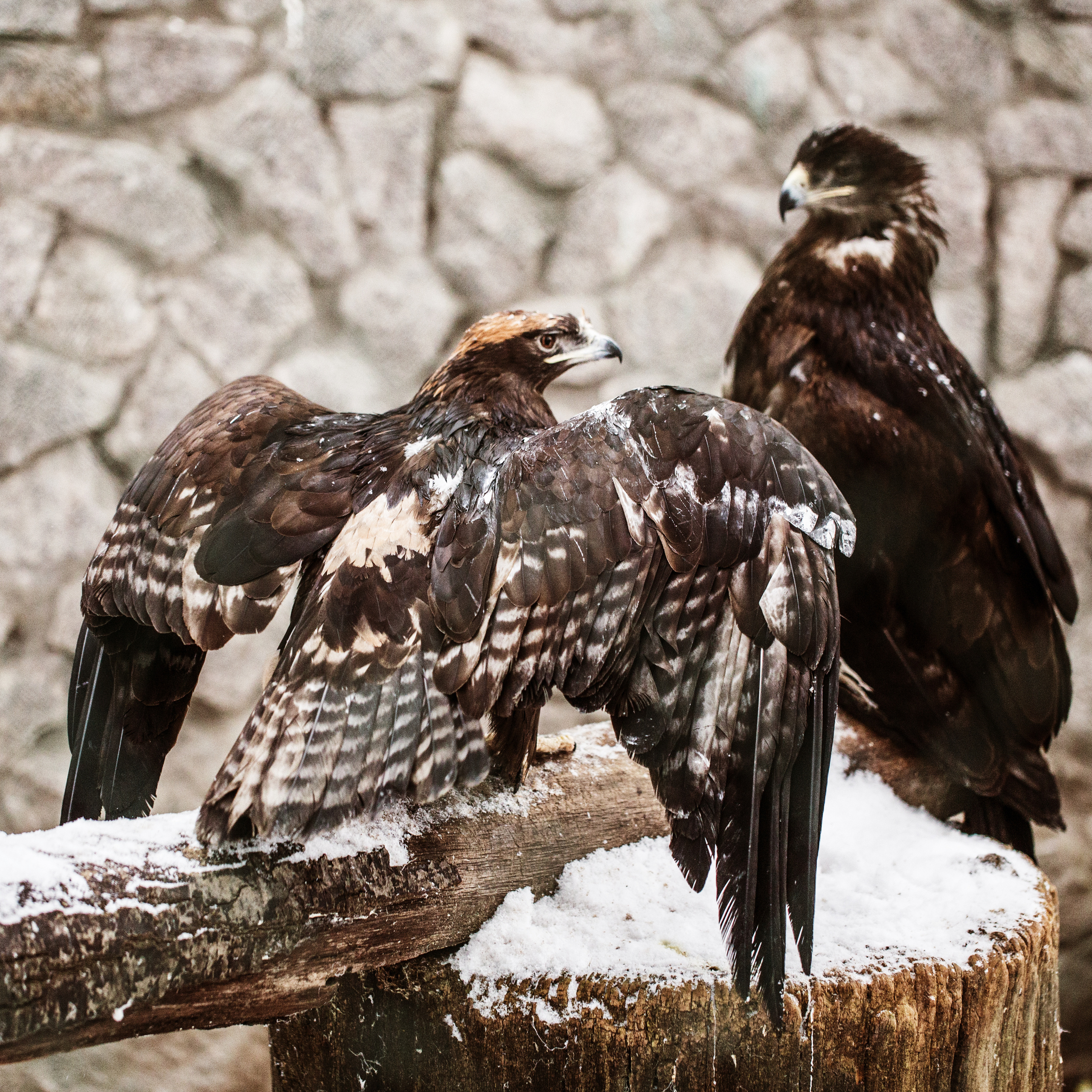 Природа. Фотограф Юля Постнова