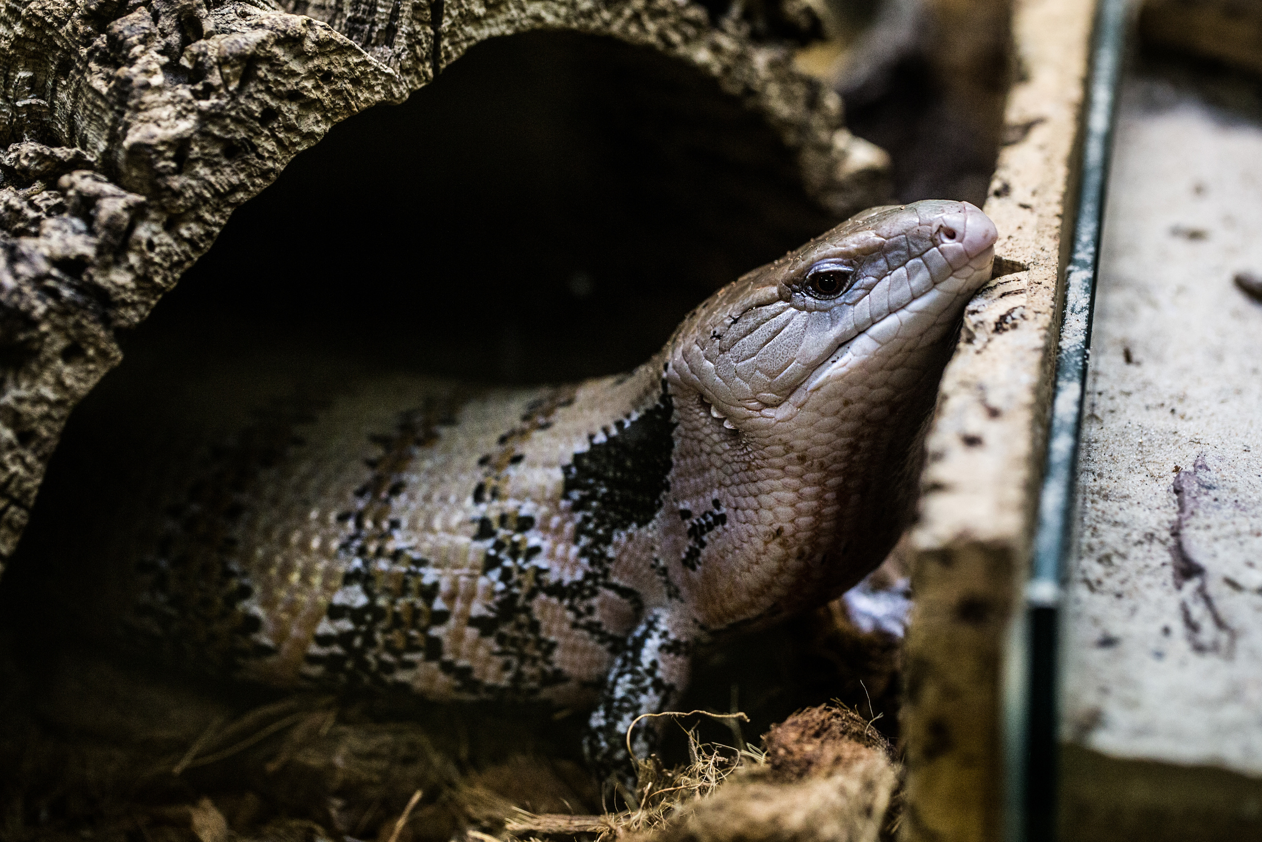 Природа. Фотограф Юля Постнова