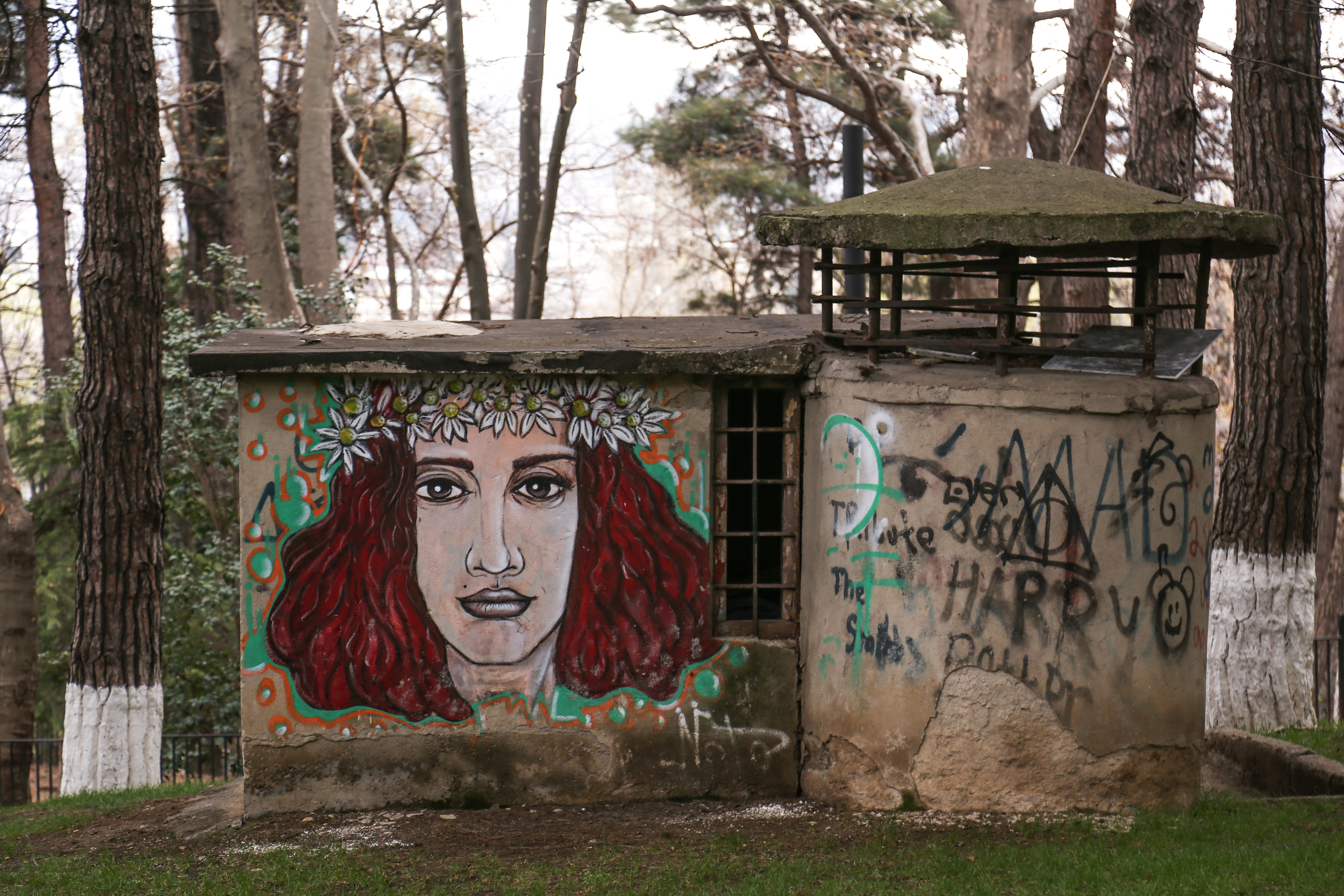 Грузия, Тбилиси. Фотограф Юля Постнова