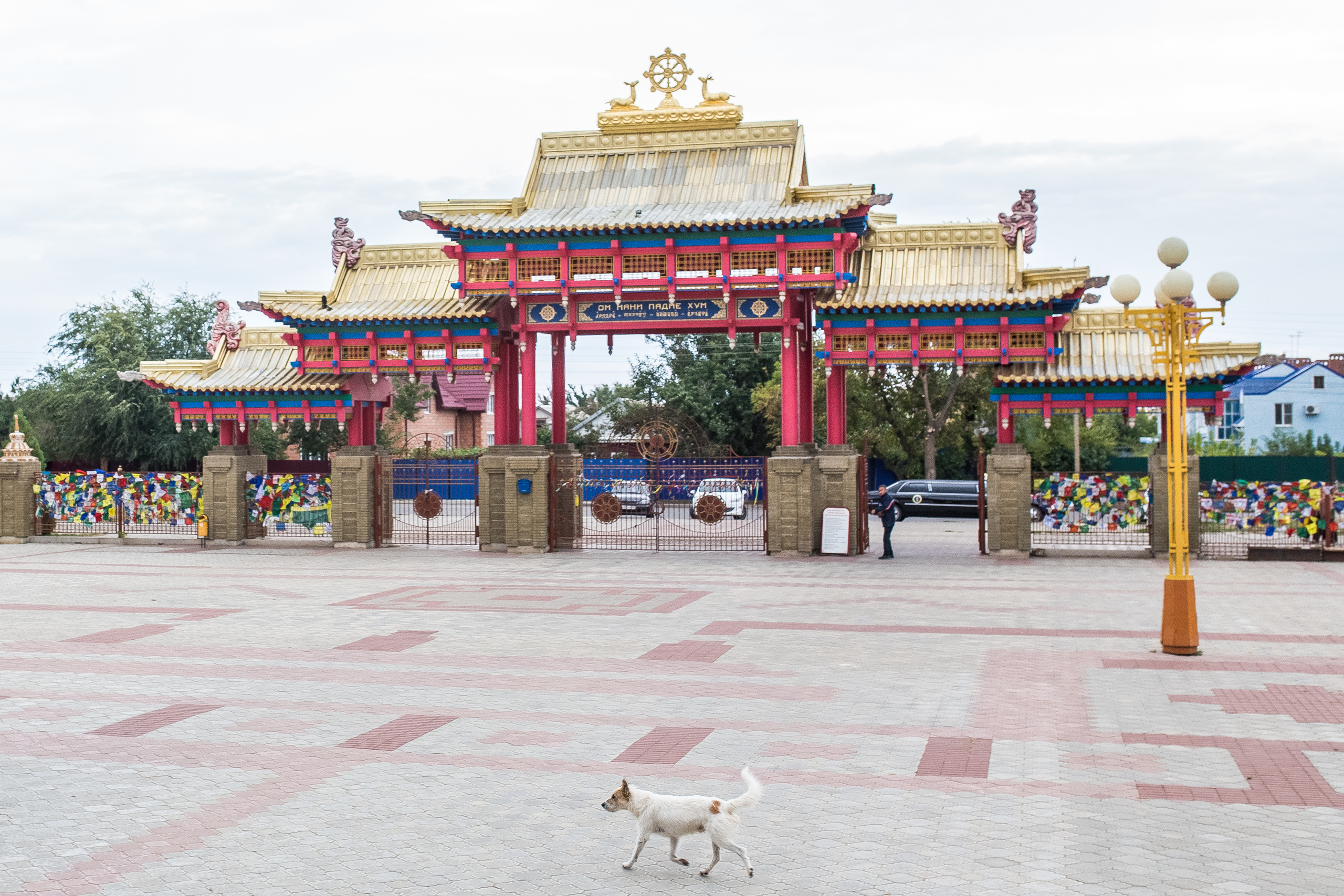 Калмыкия. Фотограф Юля Постнова