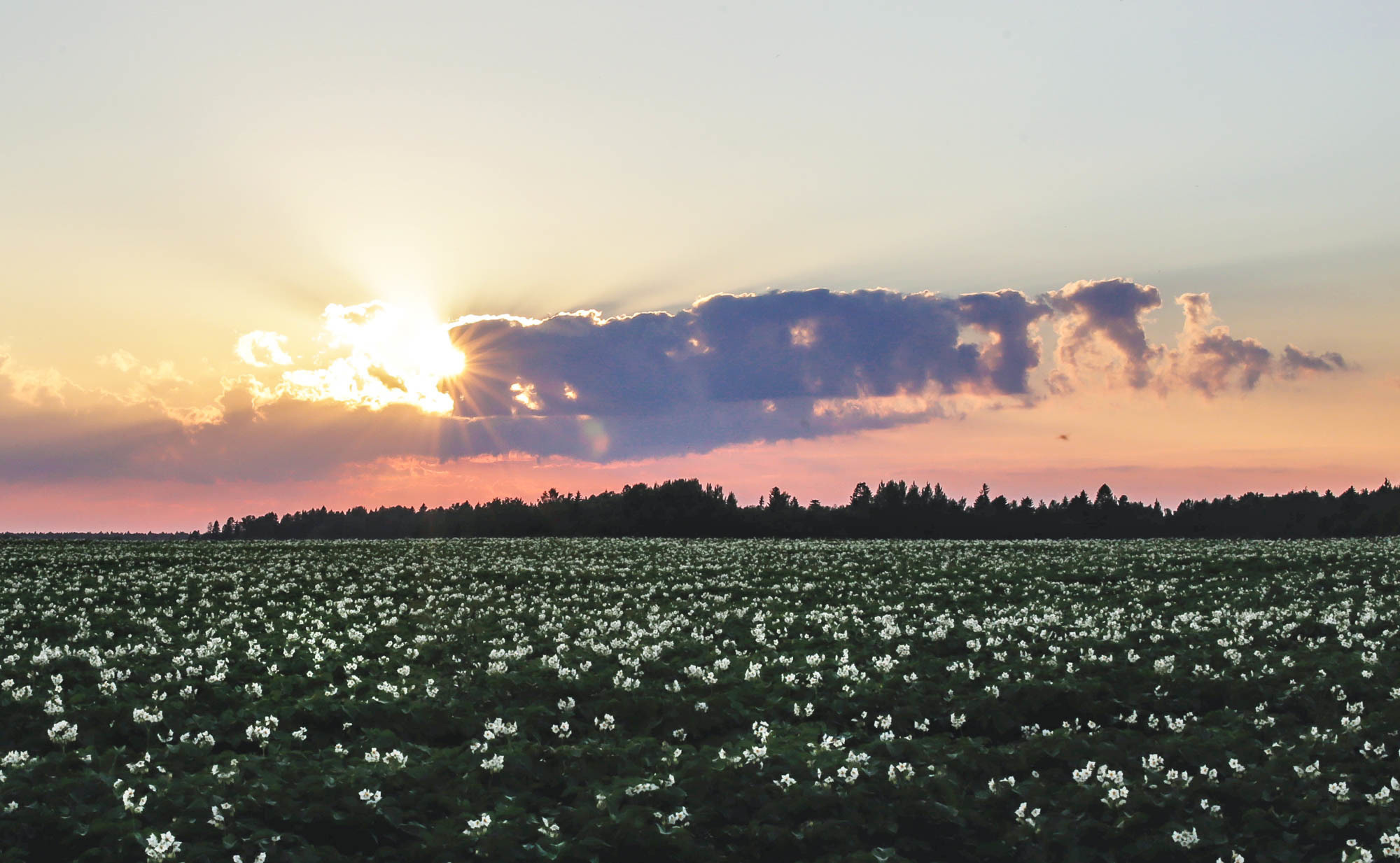 Природа. Фотограф Юля Постнова