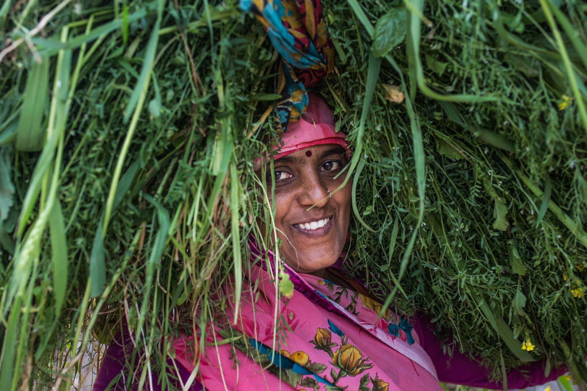 Индия 2016-2017. Фотограф Юля Постнова