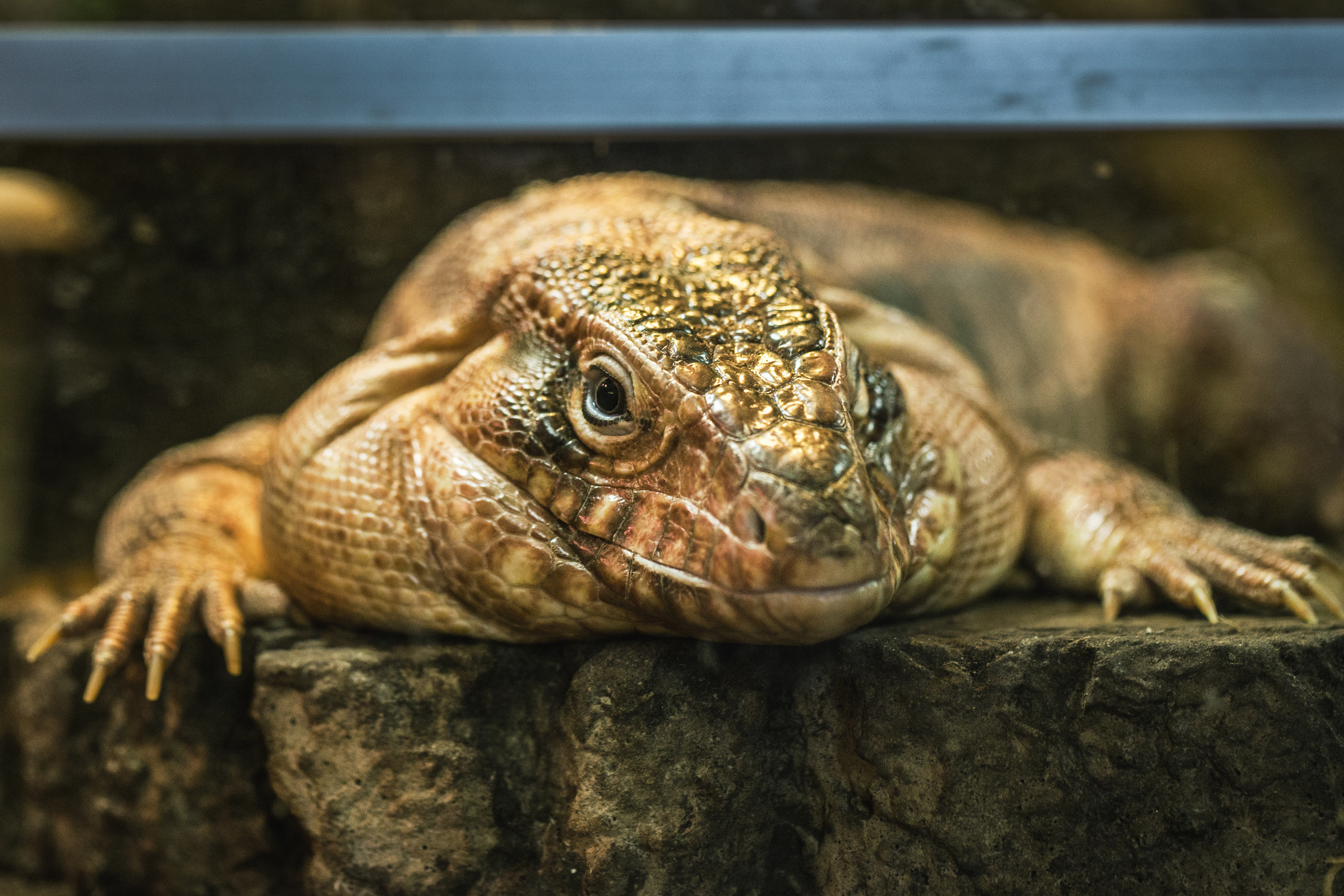 Природа. Фотограф Юля Постнова