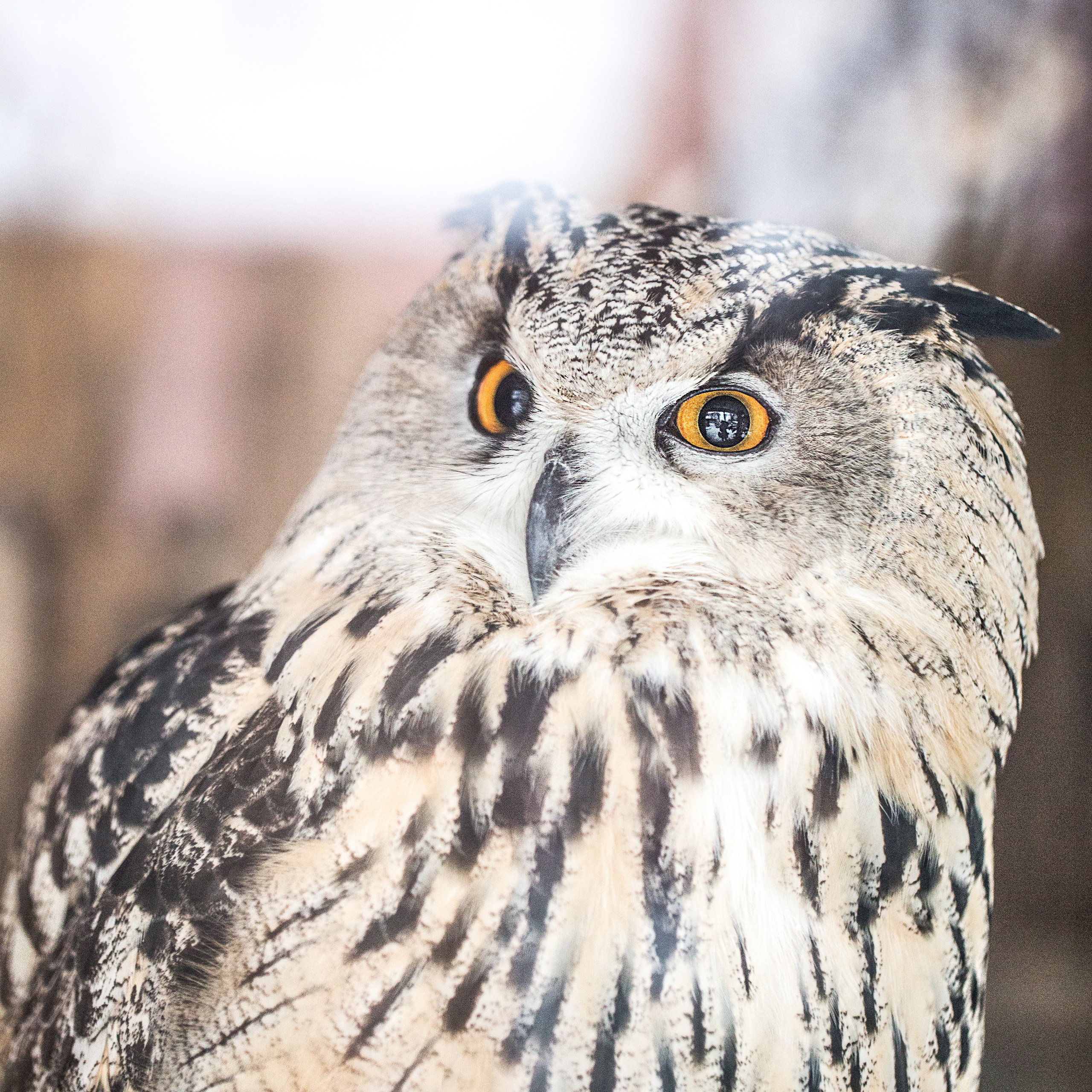 Природа. Фотограф Юля Постнова