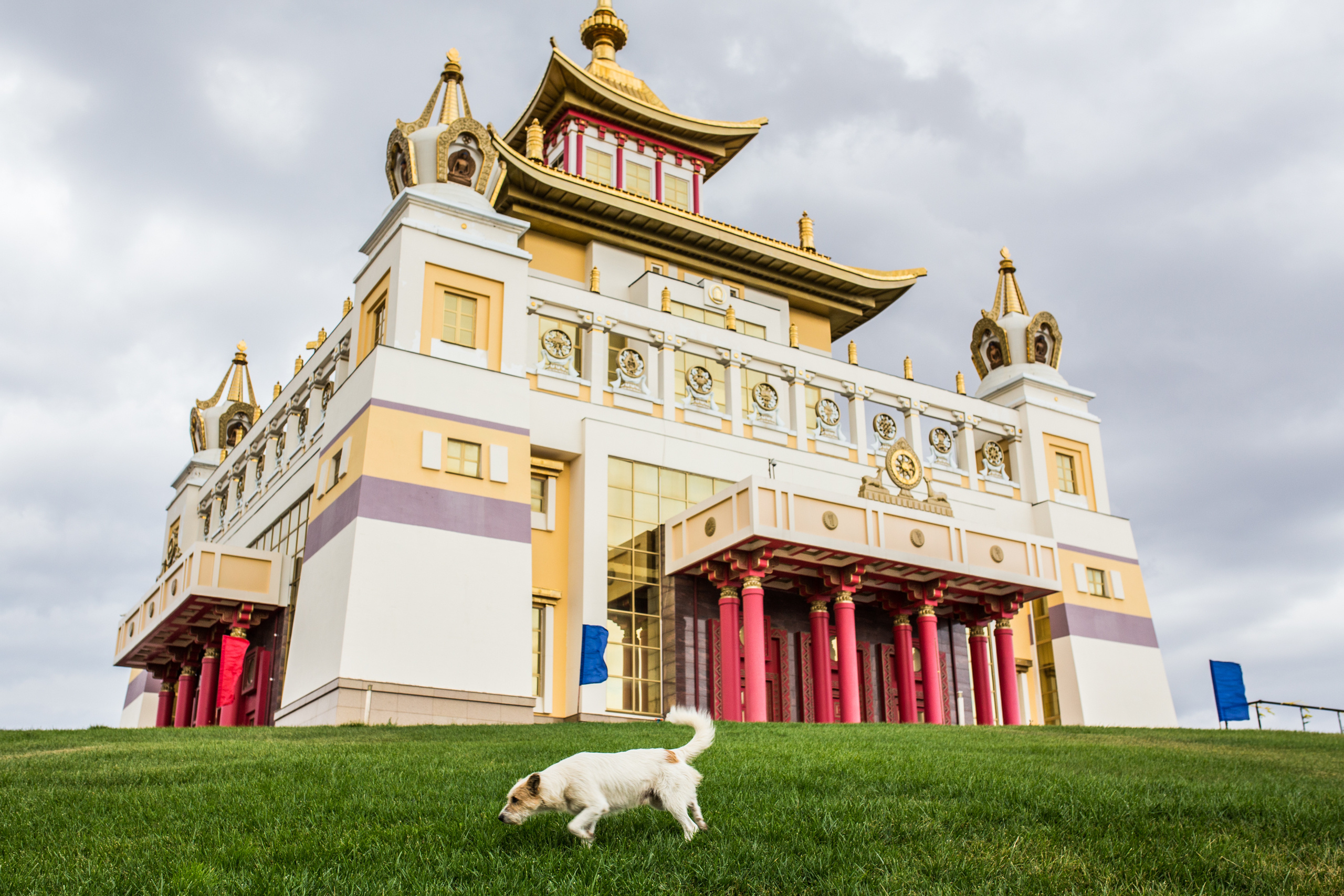 Калмыкия. Фотограф Юля Постнова